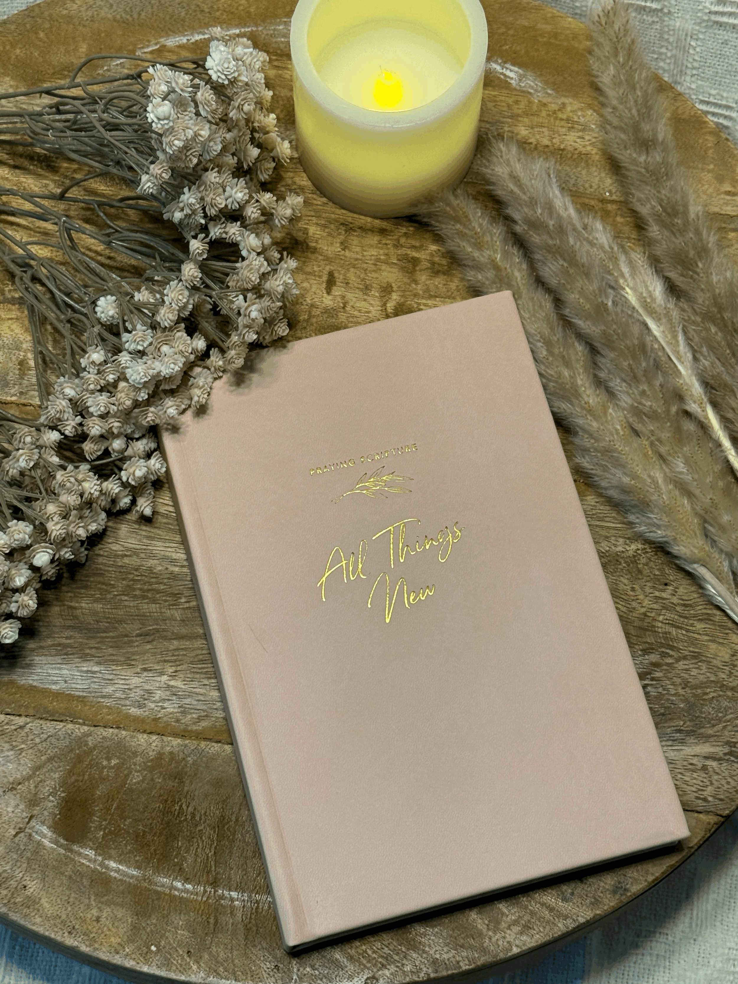 All Things New Praying Scripture Journal