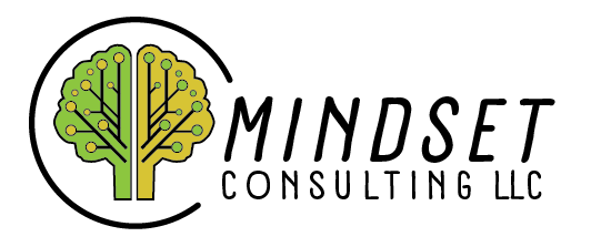 MINDSET PRODUCT CONSULTING