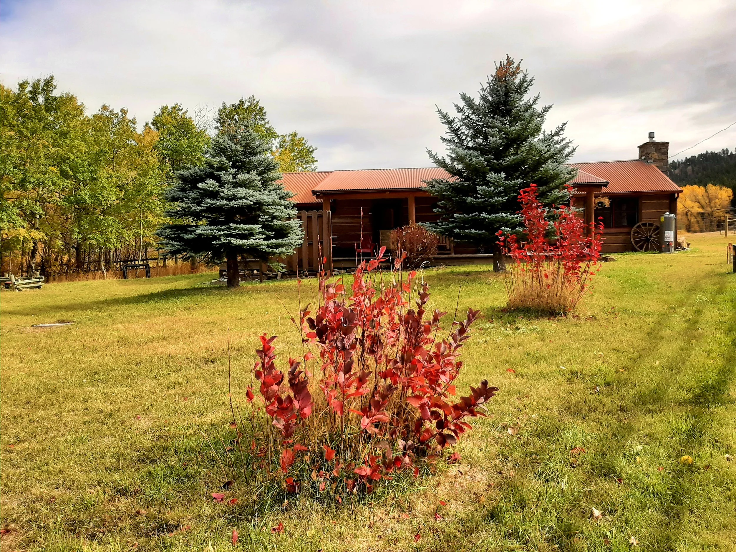 fall cabin 2.jpg