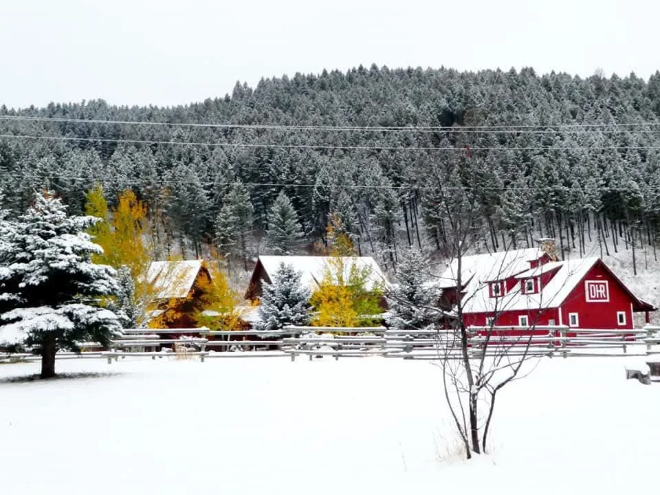 christmas card barn.jpg
