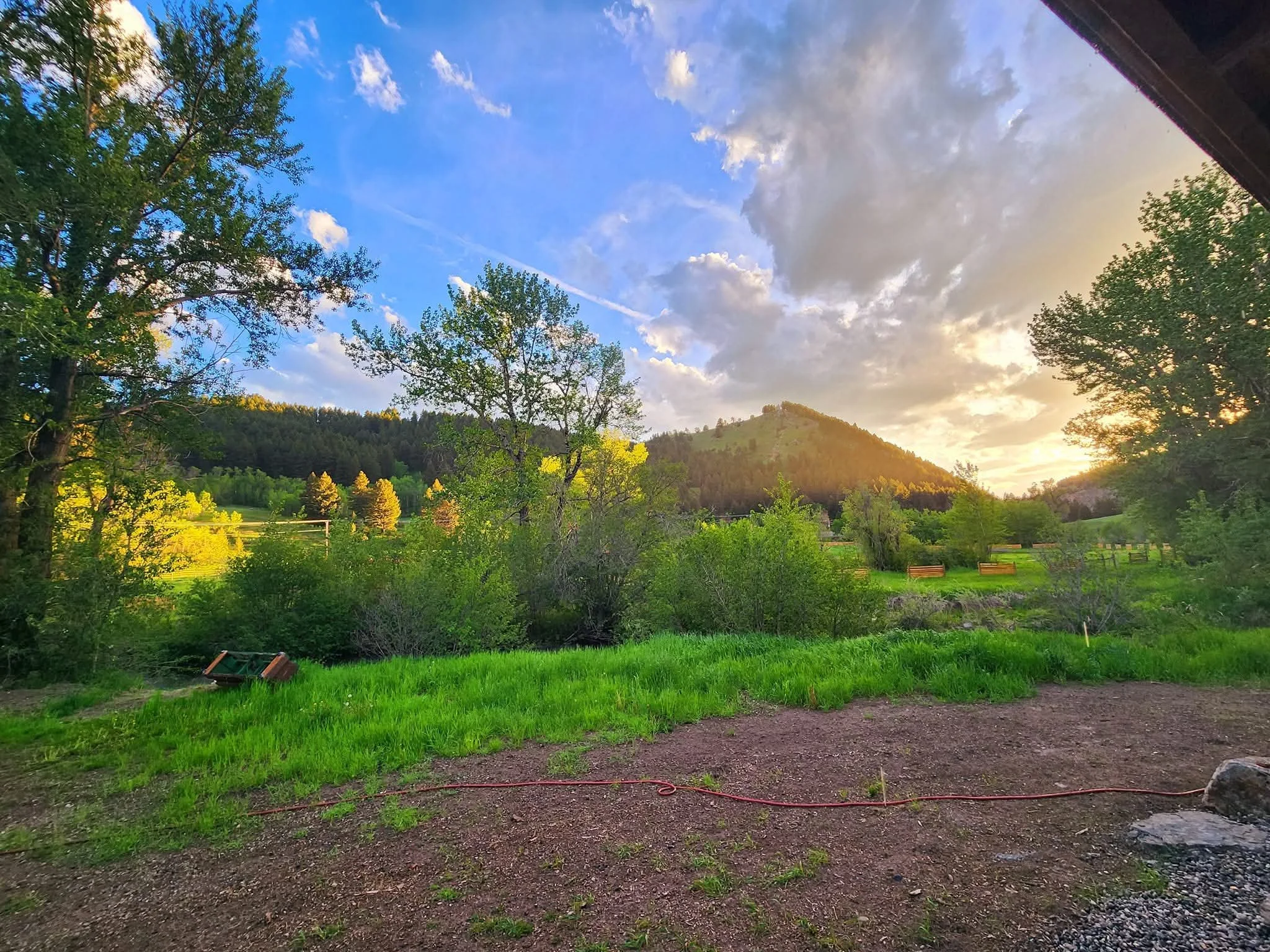 fh yard with DHR mountain.jpg