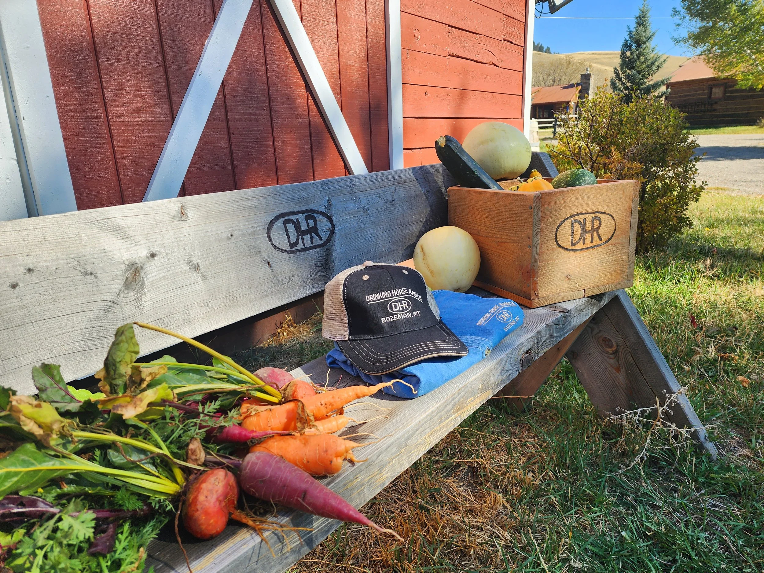 entertainment barn:produce.jpg