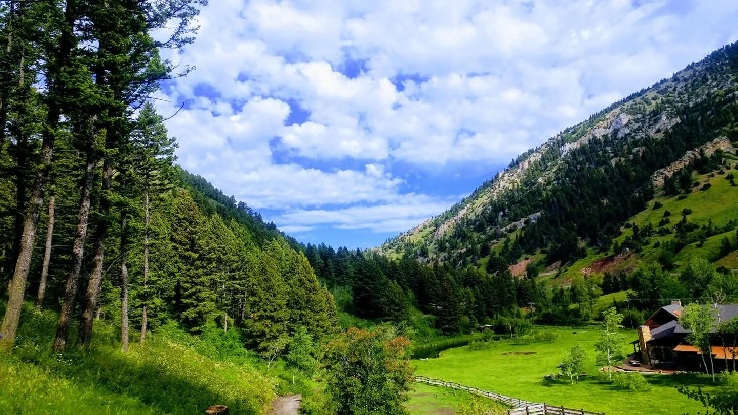 secret meadow trail.jpg