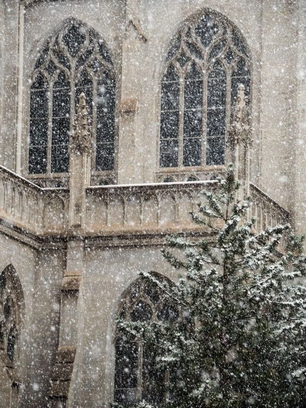 Our Nytorgsgatan shop is CLOSED Sunday Jan 4th - Tuesday Jan 6th. We look forward to welcome you back on Wednesday Jan 7th! 🤍