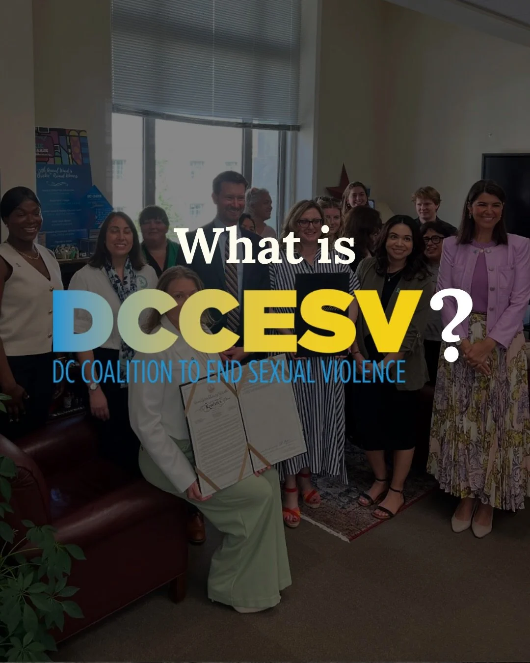 Who we are, what we do, and how we work together🩵

The DC Coalition to End Sexual Violence (DCCESV) is a member-driven coalition that strengthens the capacity of local organizations to effectively partner and address the needs of sexual violence vic
