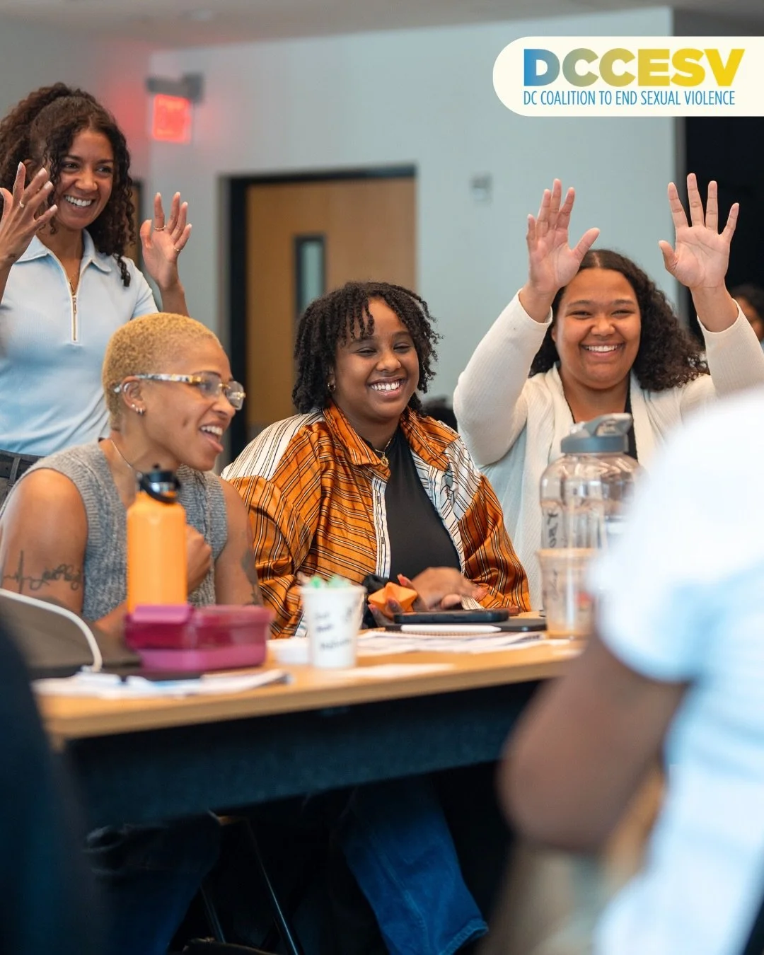 What a week of learning, connection, and advocacy!

Earlier this summer, DCCESV brought together dedicated service providers for our 40-hour, in-person Sexual Assault Victims&rsquo; Rights Amendment Act (SAVRAA) Counselor Training. Participants stren