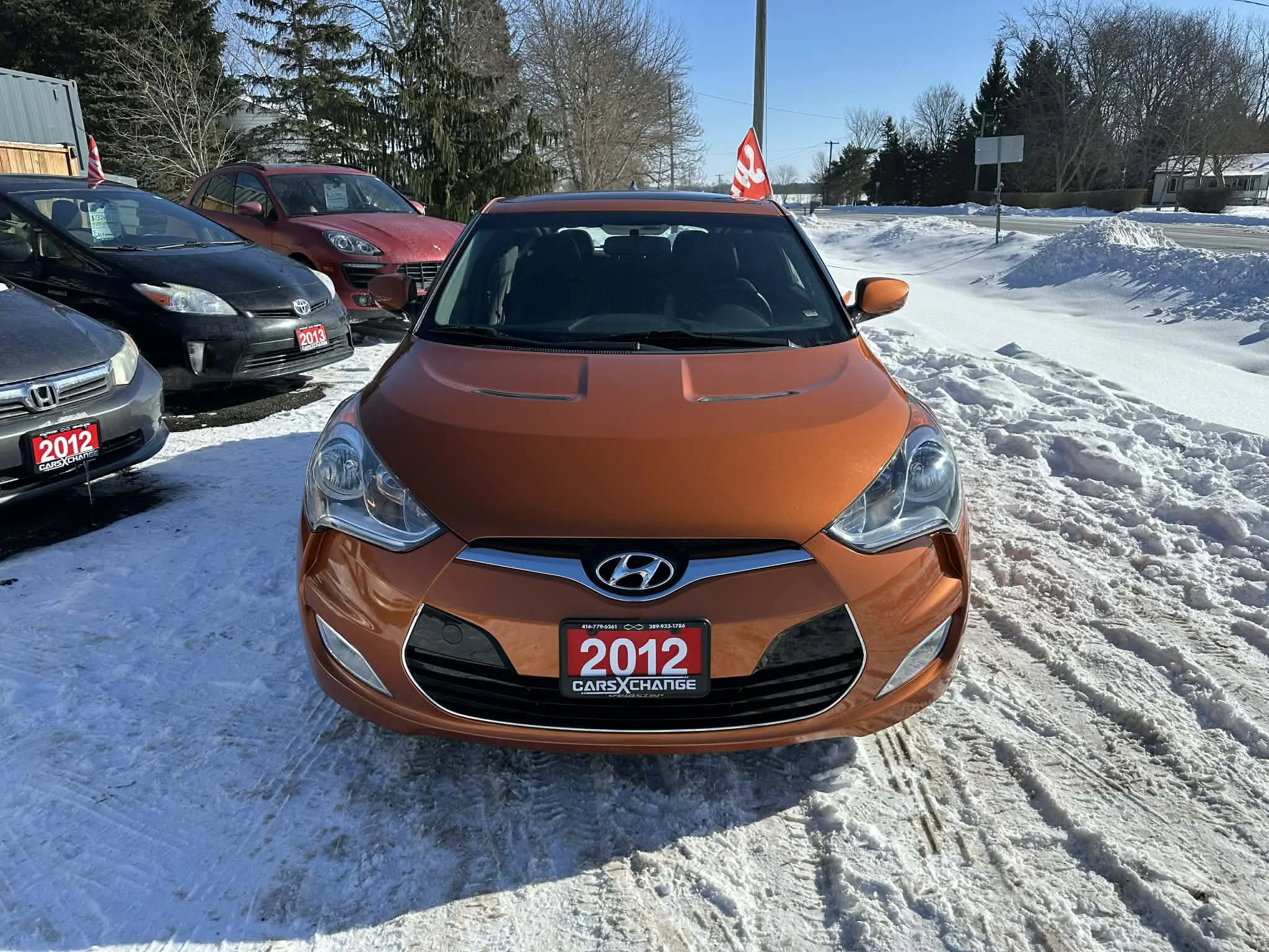 70ce0d1e-bb31-4874-b4c9-113f85f21f45.jfif