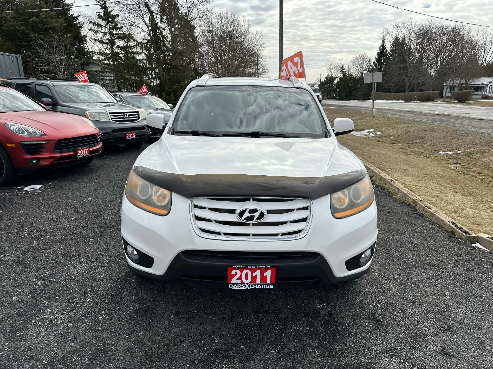 55658db0-4874-4338-bc60-f0fd6c9ab899.jfif