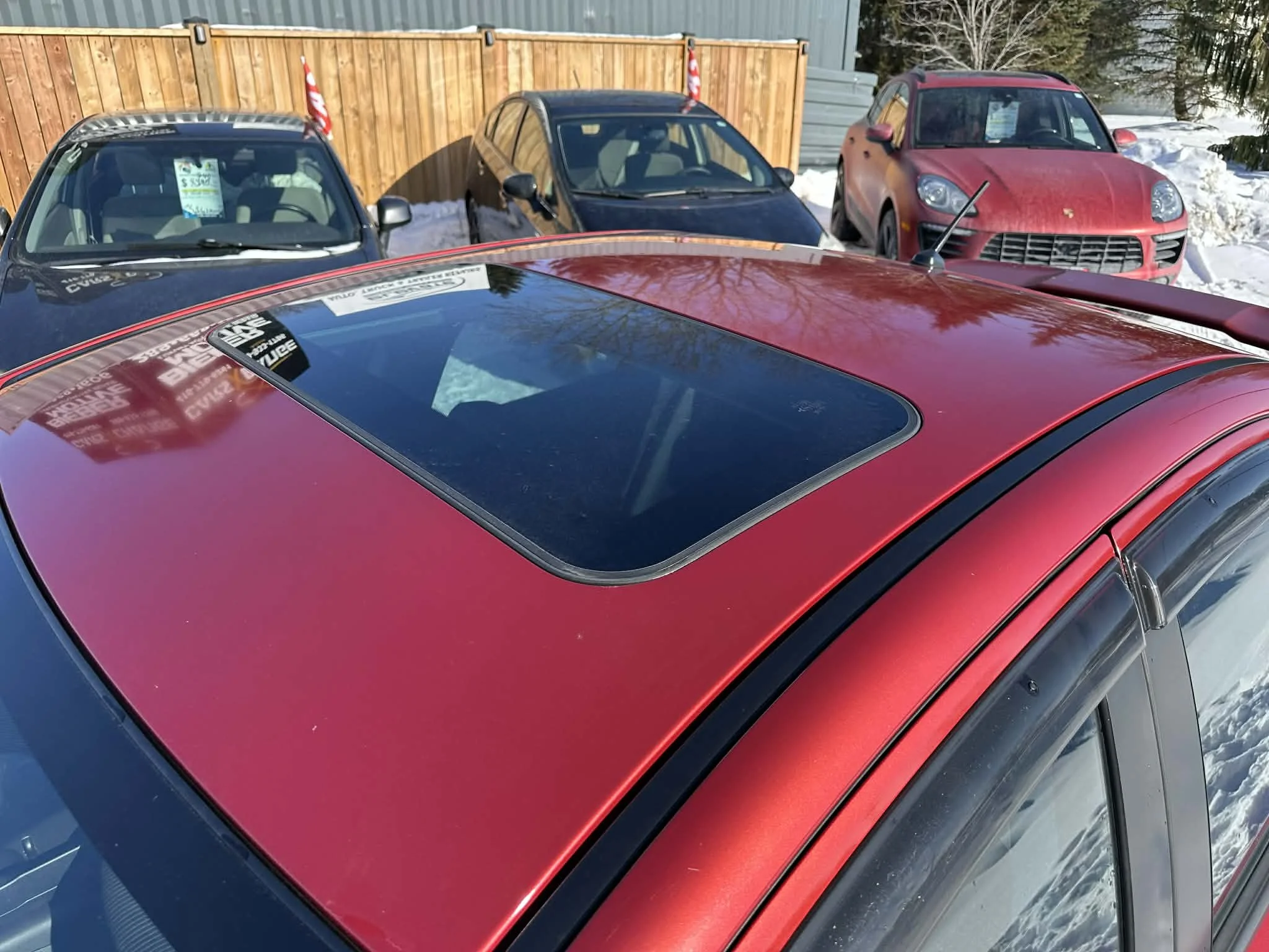 99ad7578-cb8c-4f07-bee1-f6847bd26e34.jfif