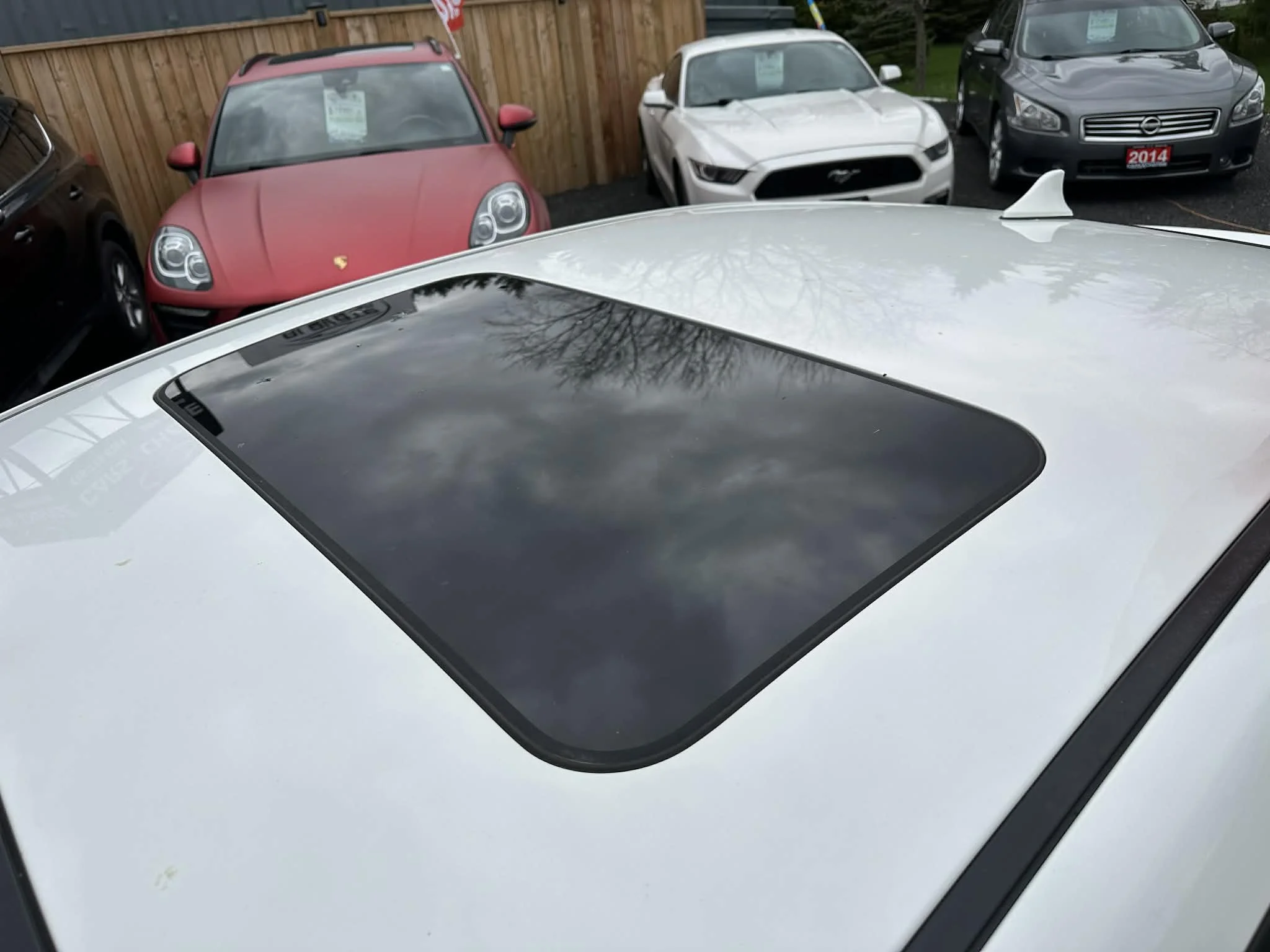 a8697d07-9cea-4c42-af48-c63df49fa988.jfif