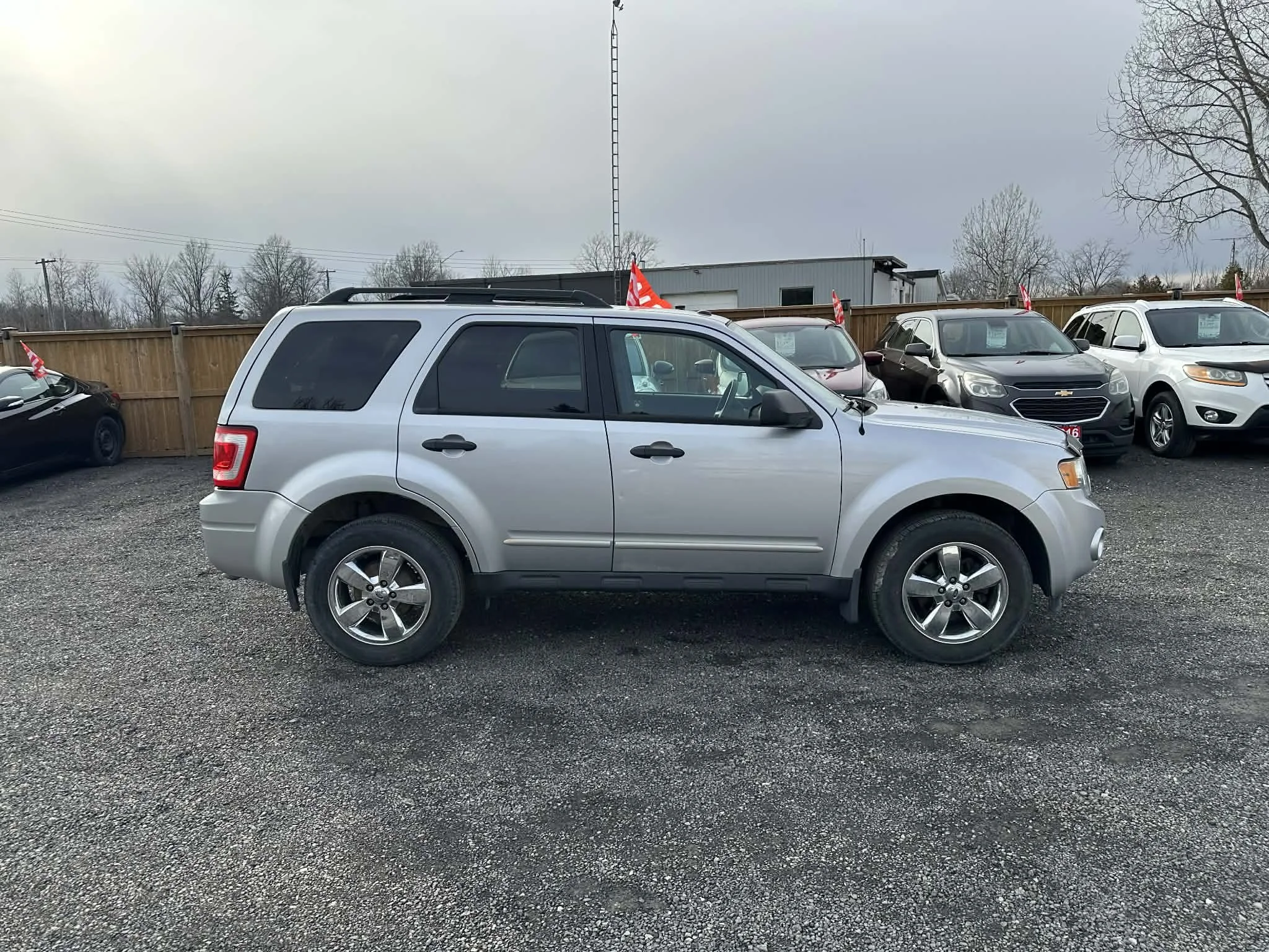 89ad727a-c5b1-44a6-8199-cbcf1287d77b.jfif