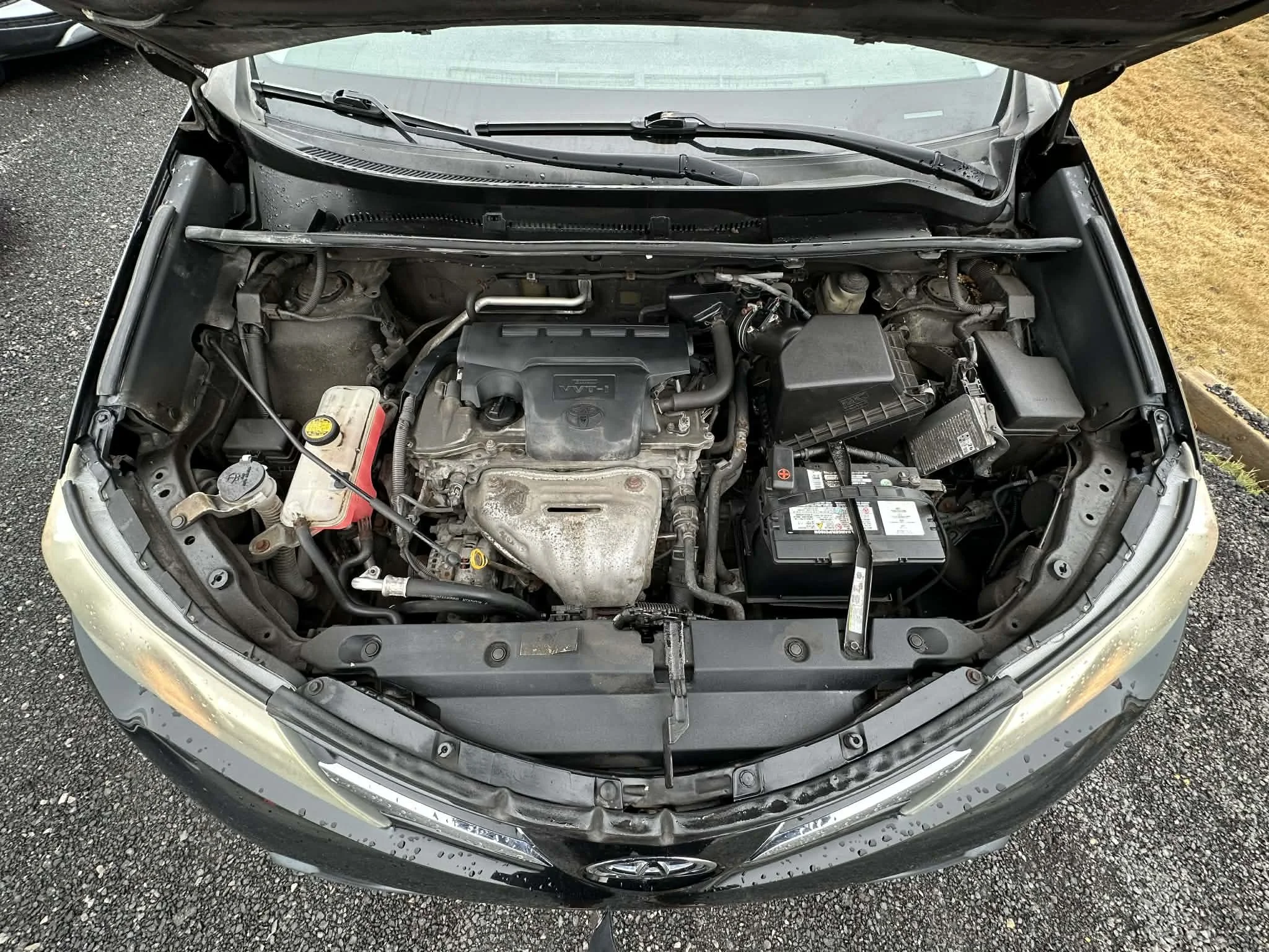 9eb8c86f-dd5b-4c84-a9f0-97d22290a476.jfif