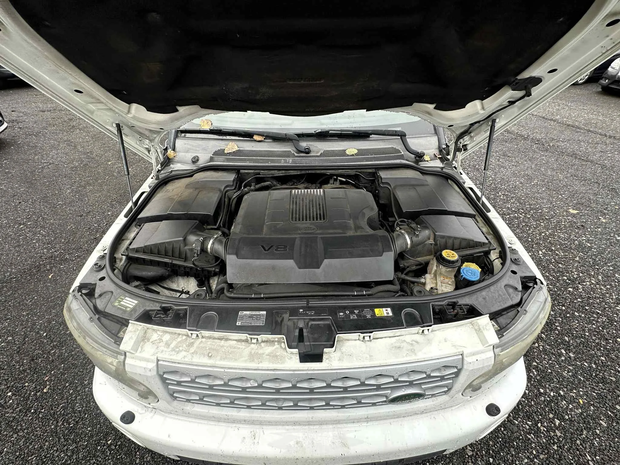 8b89d452-5a44-4c78-9410-4dd71ffa746f.jfif