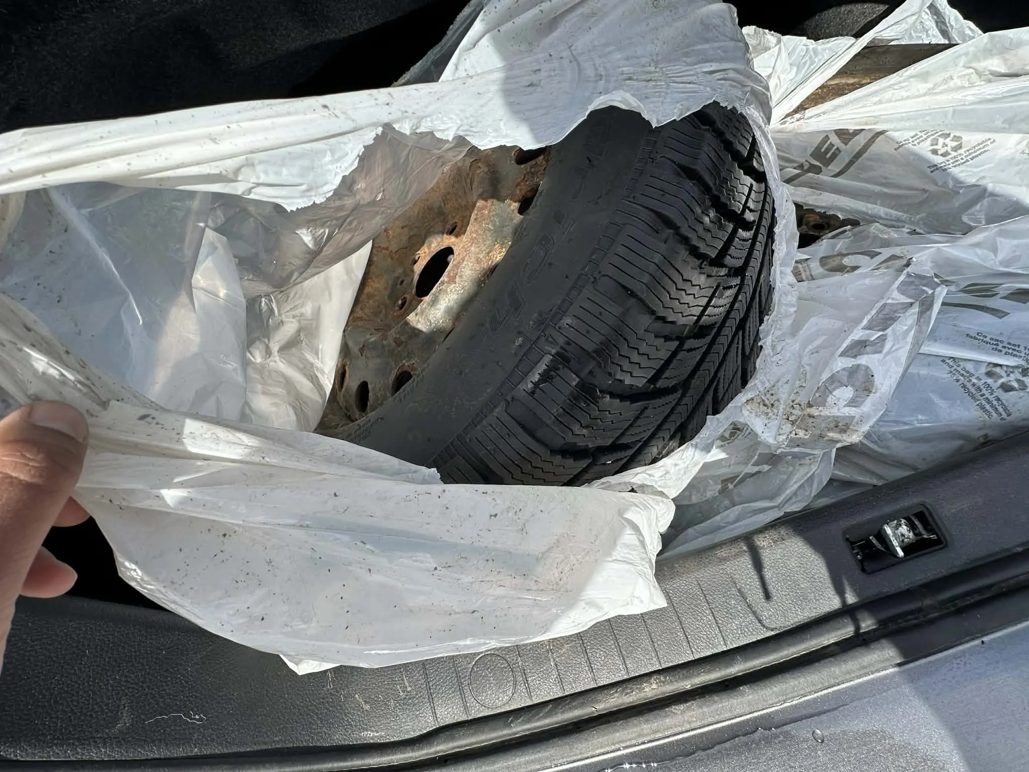 87b075e5-b0ec-4922-9699-abd68fce4efc.jfif