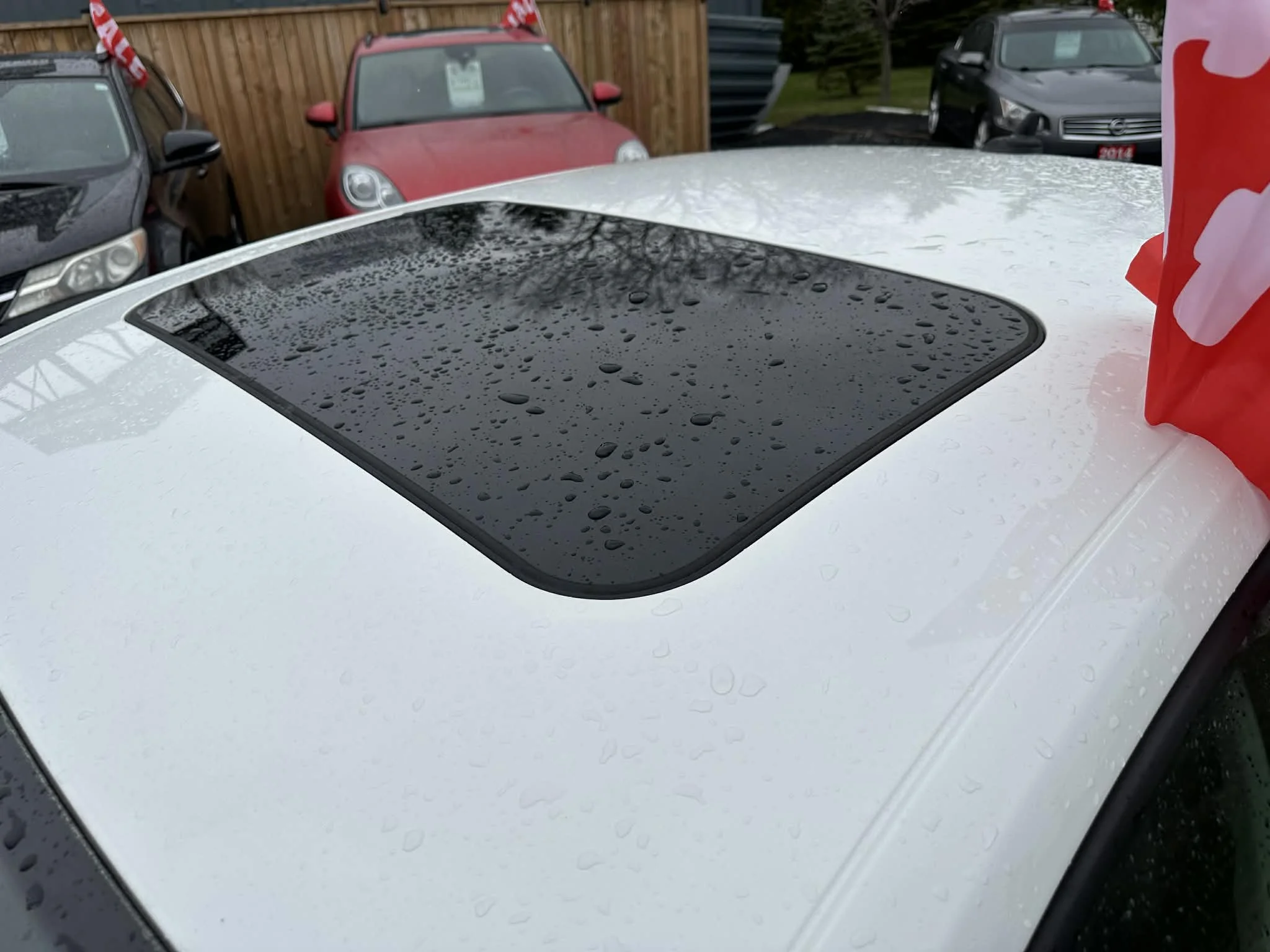 d0a037a7-e9c9-4bd4-868a-f41570c9f38a.jfif