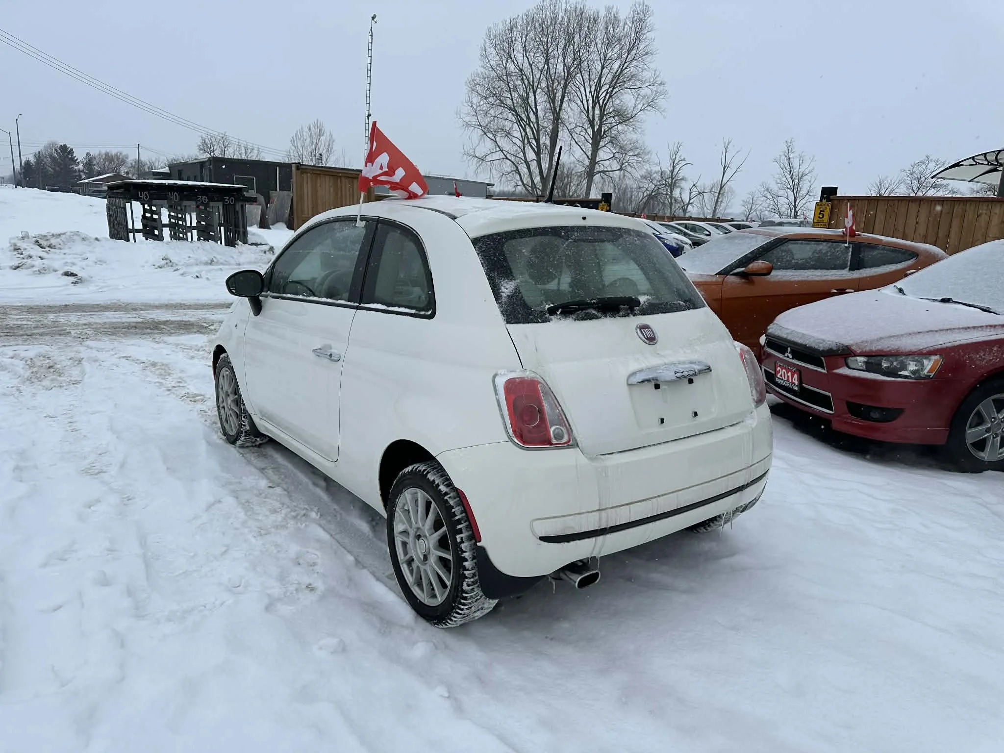 77d9834d-abef-43ac-86c2-ea66165245ca.jfif