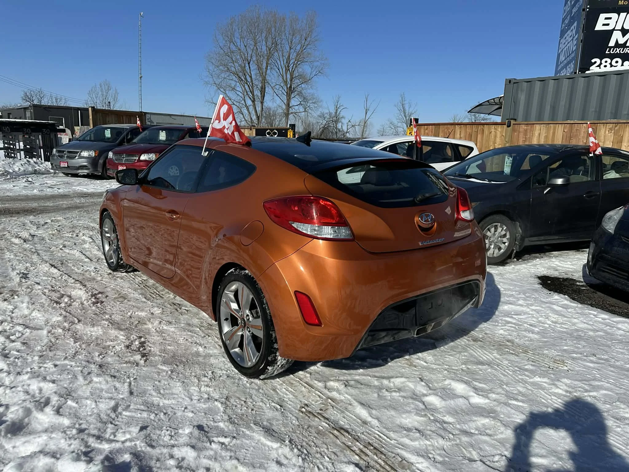 d18d662b-4318-4201-8b35-2b59a947ecec.jfif