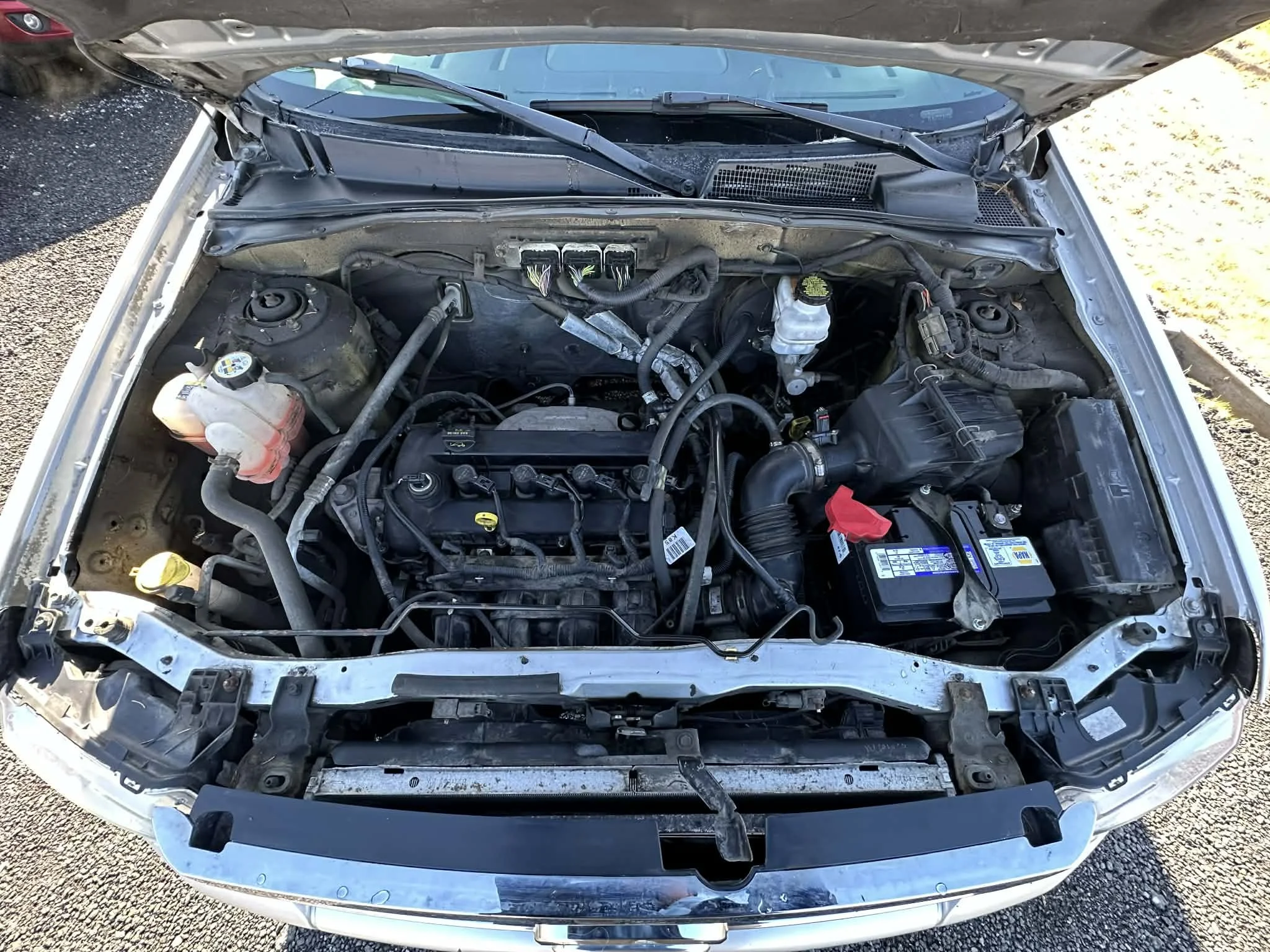 1de7179f-4861-4a4b-aca1-d1b036f1134a (1).jfif