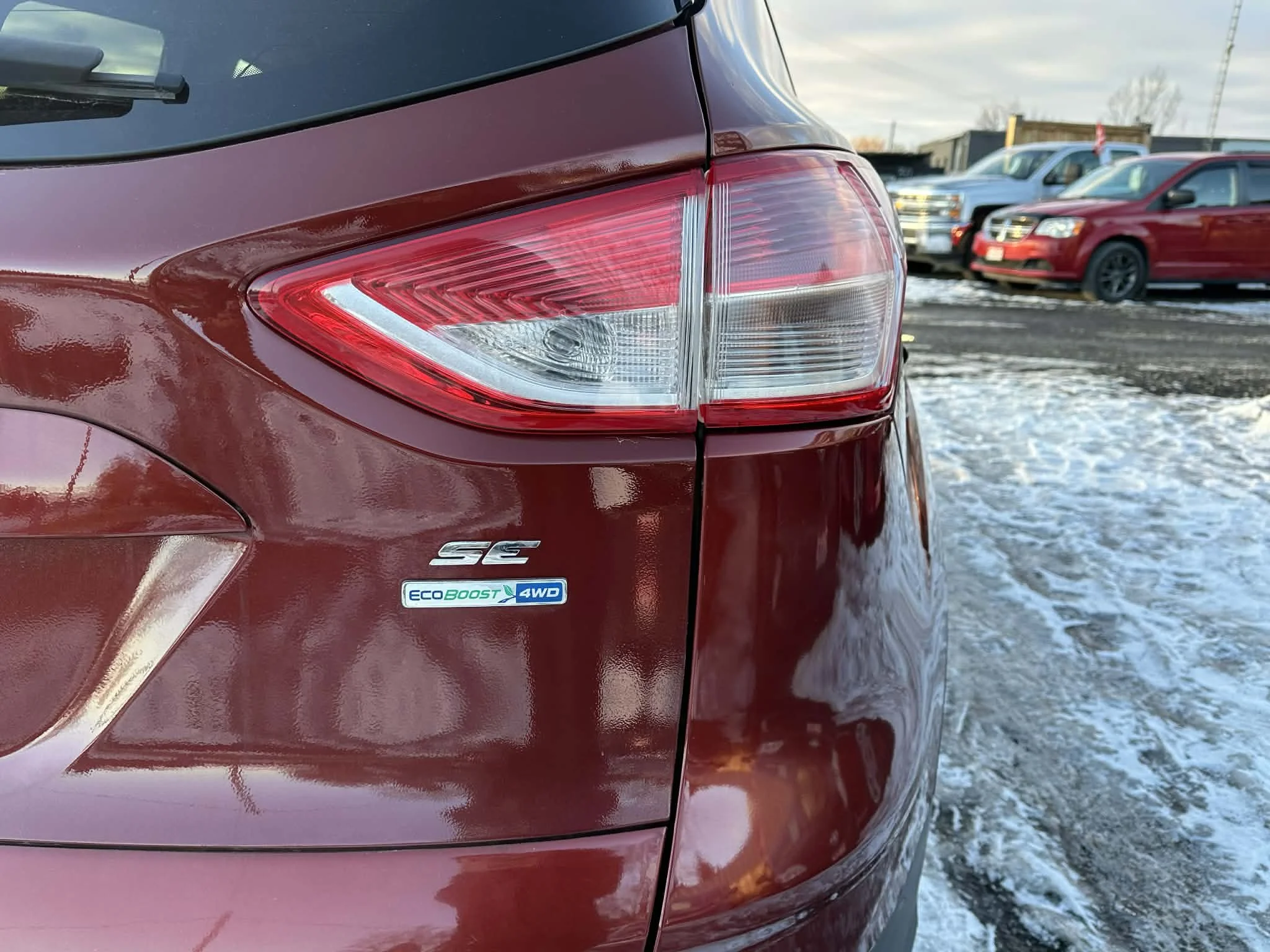 399b3453-fe9d-42fd-9d06-289315f9d4dc.jfif