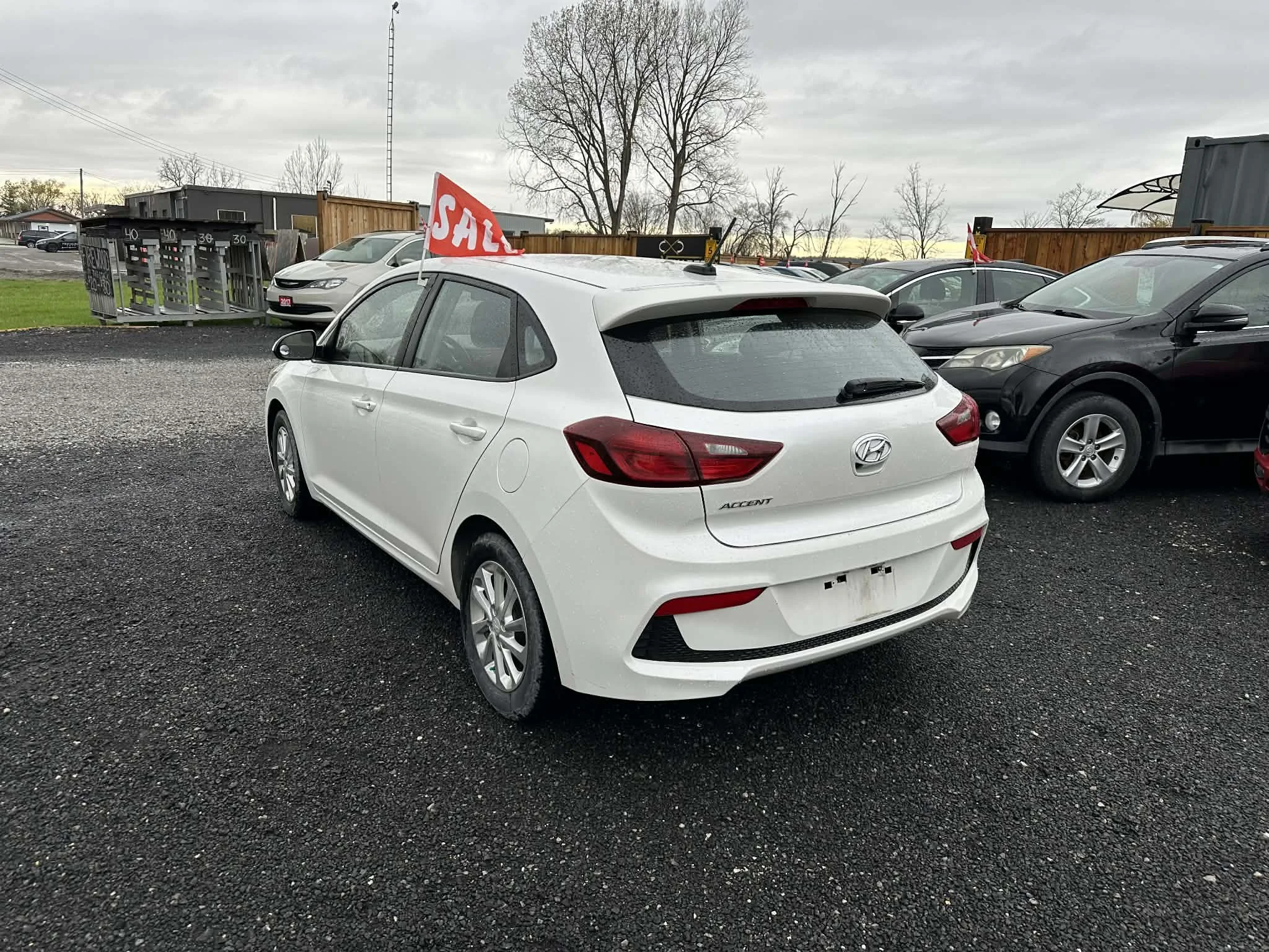 4d198184-b43c-4ec3-a9b2-a40f4aa2ab4a.jfif