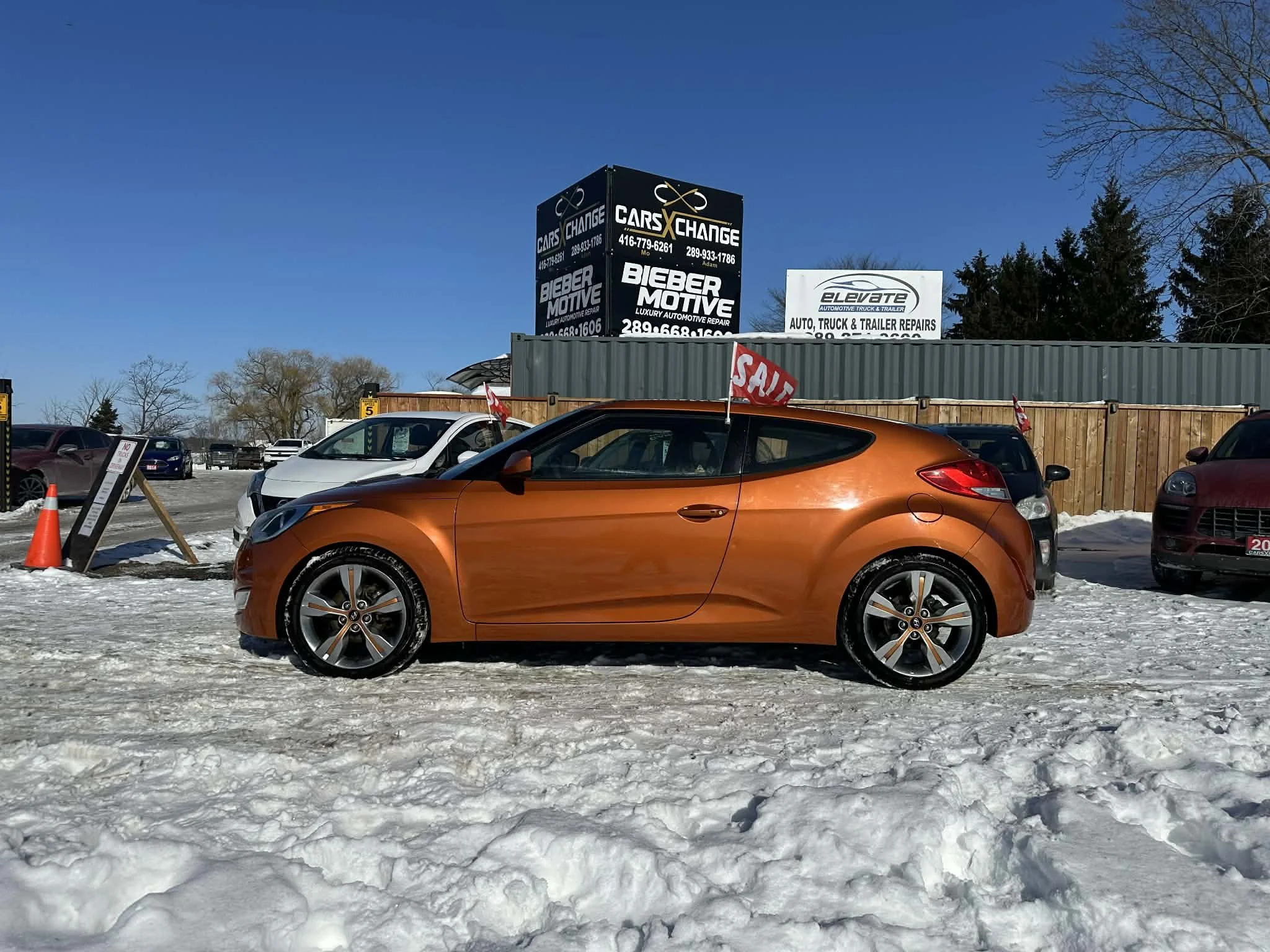 bb006627-d08c-439b-9d14-7f64cef61862.jfif