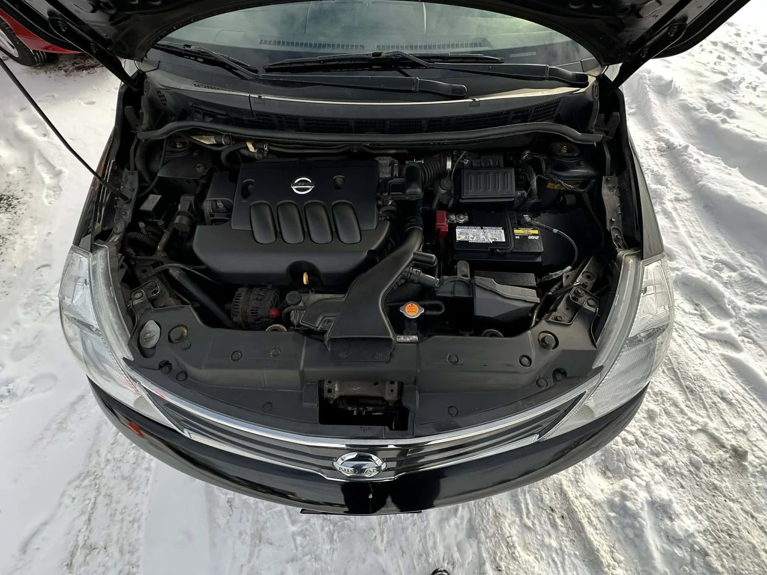 0261d5af-1988-4521-a4f3-7abcb1822096.jfif