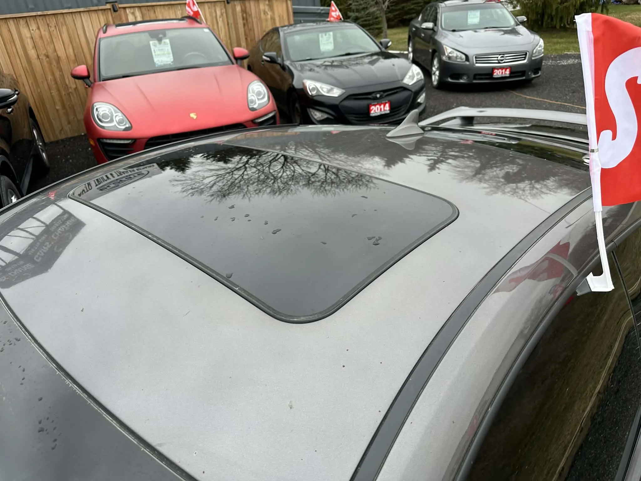 8c1ed69b-03f4-433d-a3fa-d526c1c176af.jfif