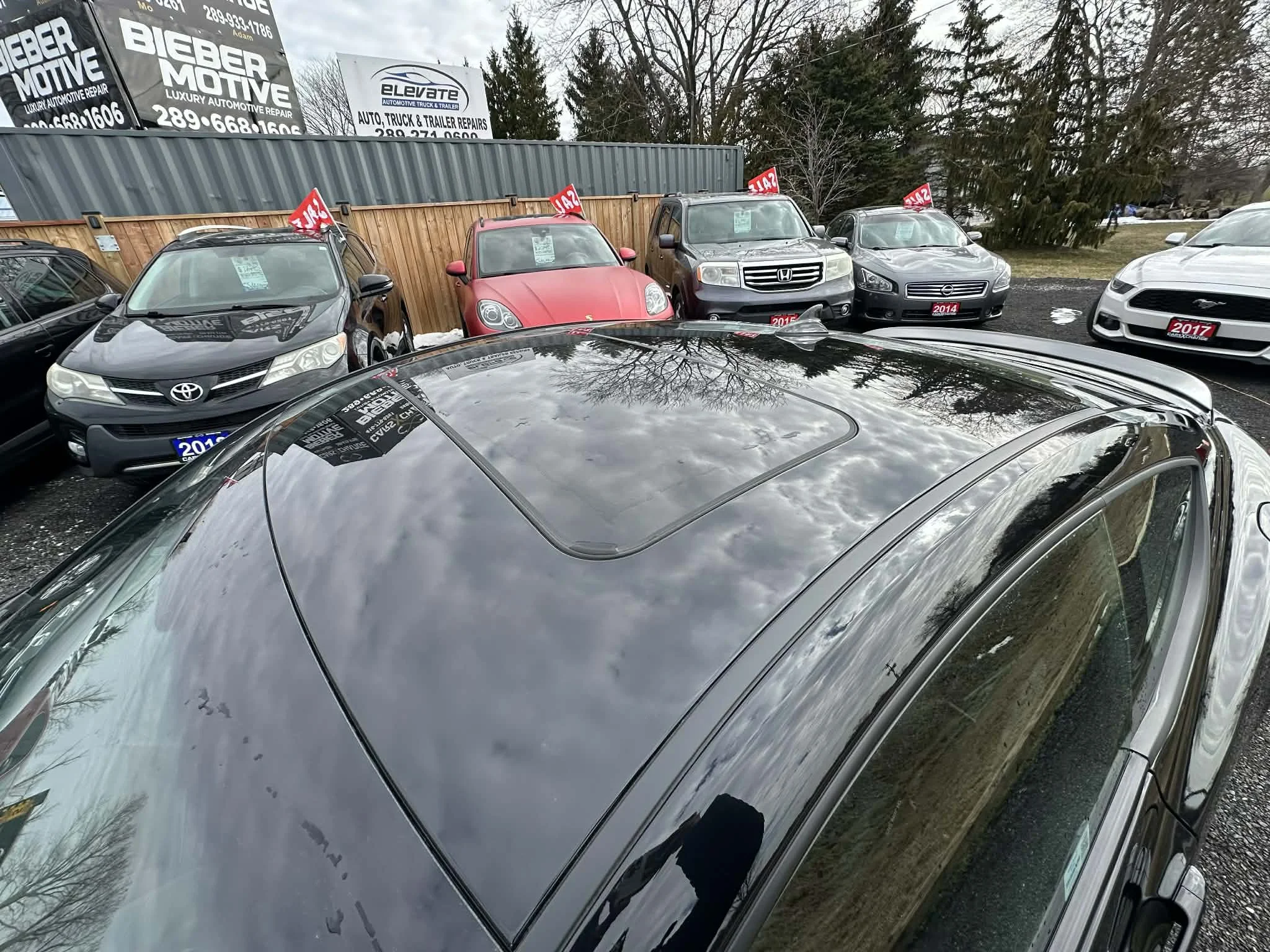 f67b9ed1-f622-4d19-8570-0d4934427fa2.jfif