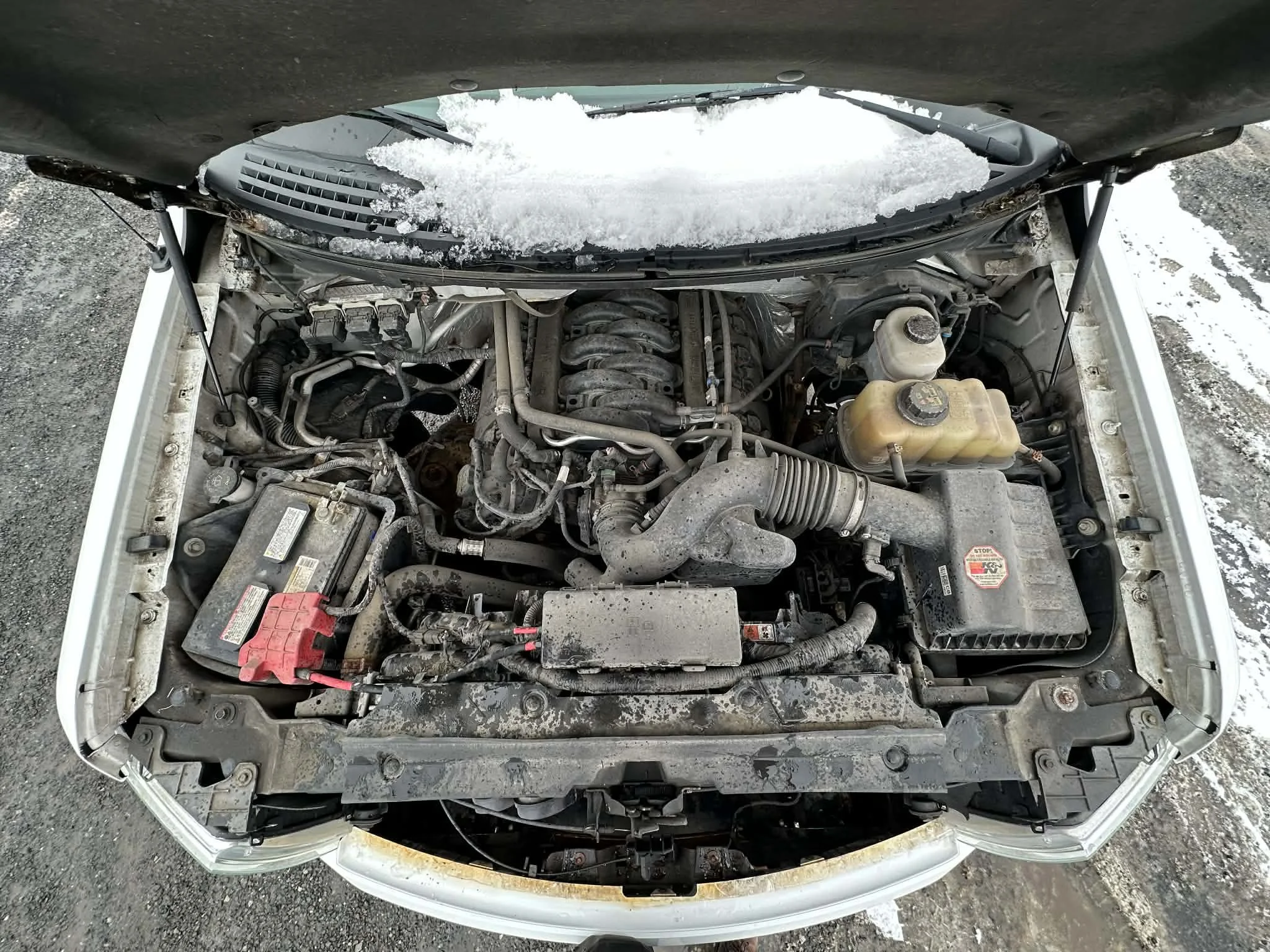 fc8fa614-4cfe-485d-81d4-fd68d4f81230.jfif