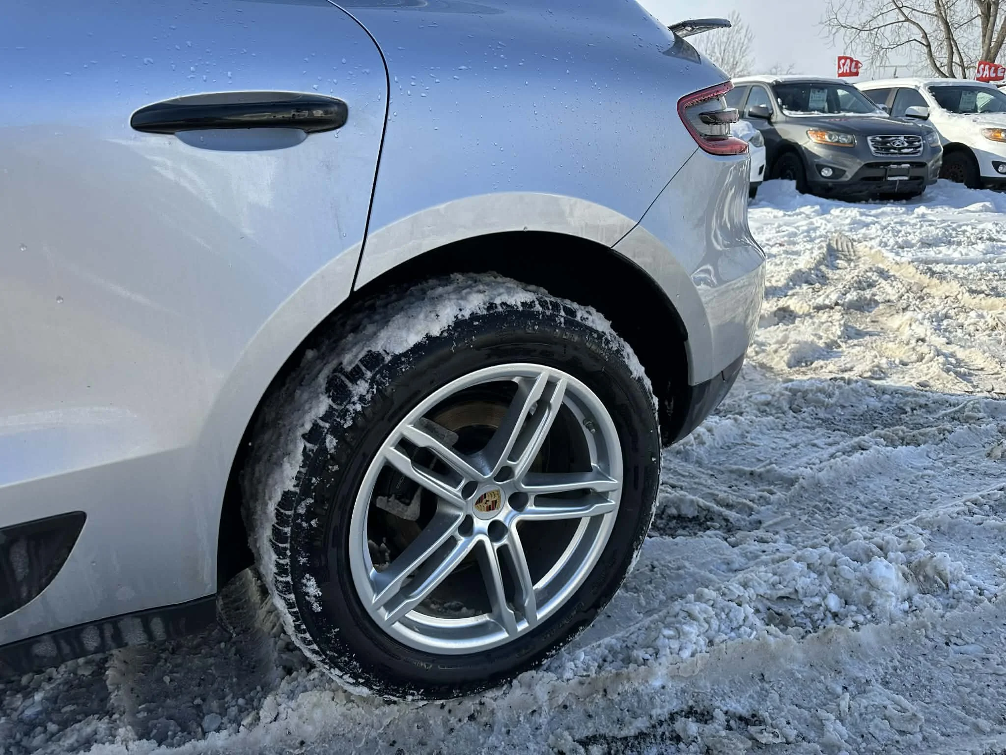 08dd7d87-a5b0-44e0-8b95-c15722f62ef6.jfif