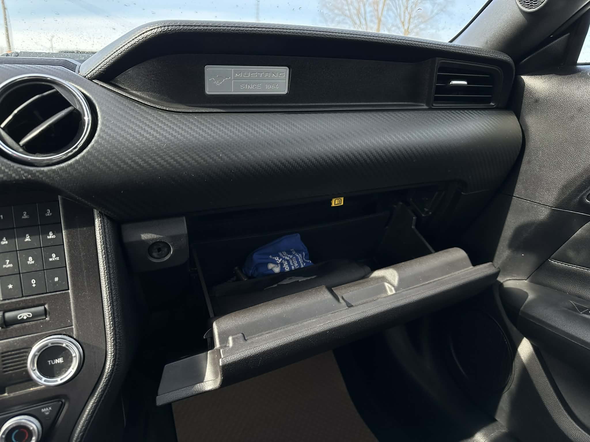 c4075783-af88-4689-a11b-f55f903f24e5.jfif