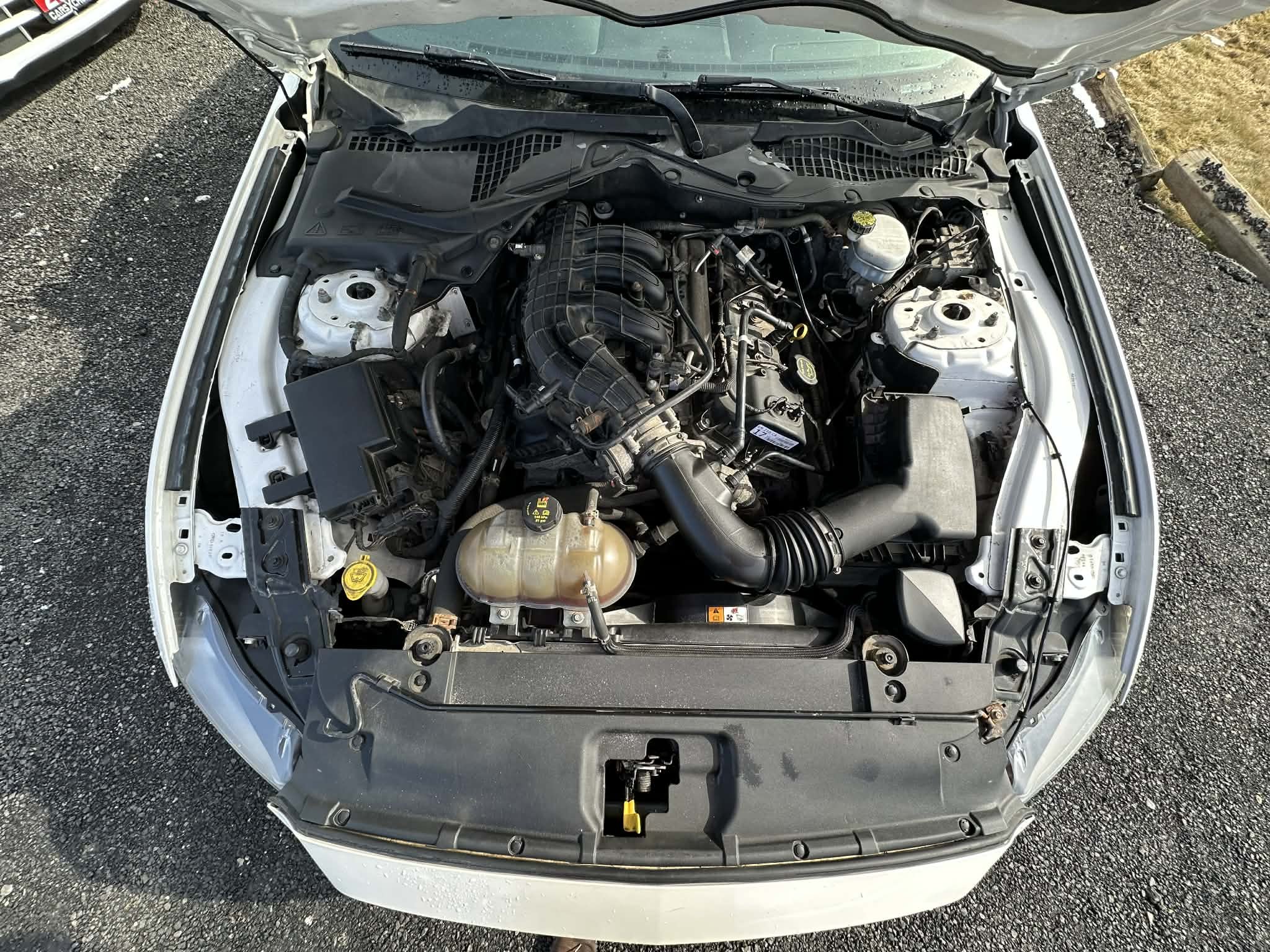 8d8027f0-d727-4ff3-9a0d-fafcc988ca41.jfif