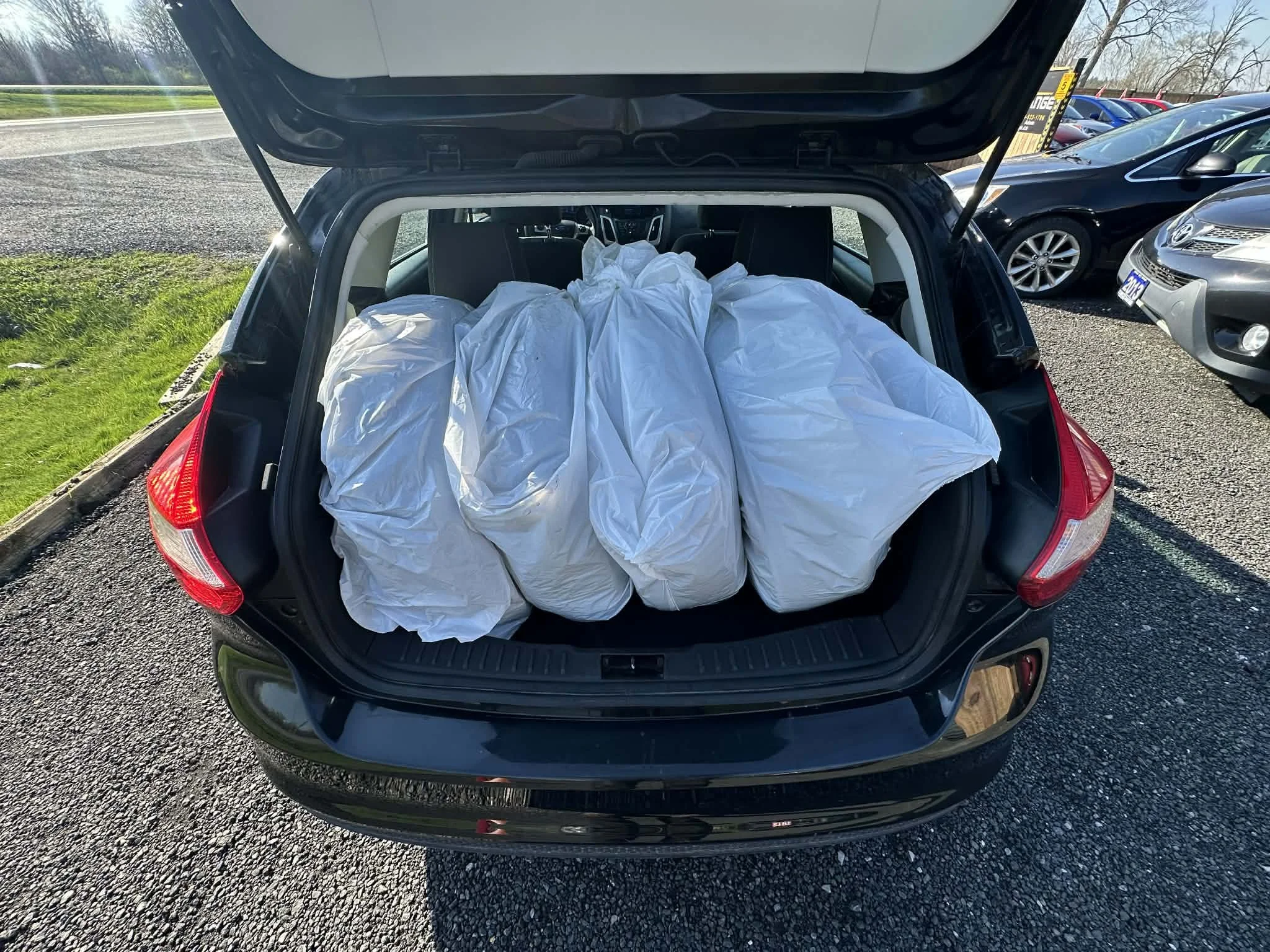 bcd413a9-0d1f-4997-9822-d5039b7f51ac.jfif