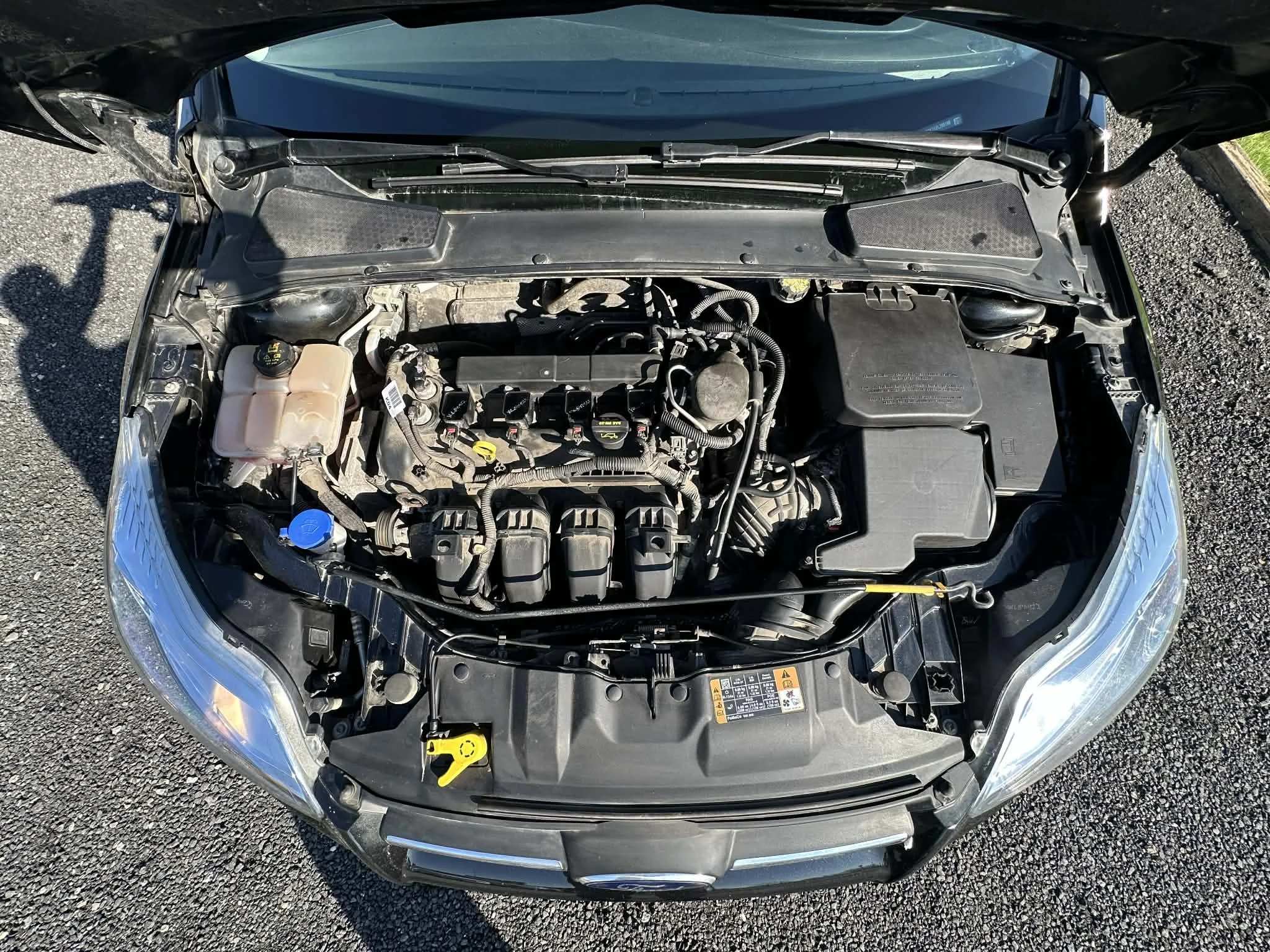 367b5e84-3786-4841-bc7b-88194bd541d4.jfif