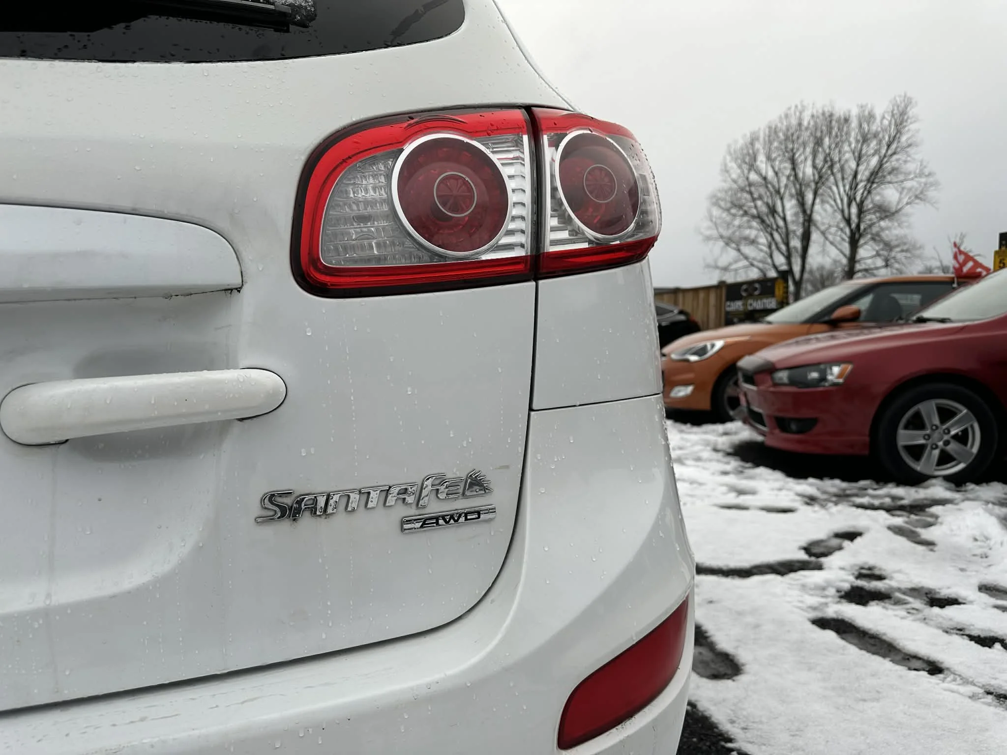 dfddebb7-eea6-46b0-a345-503fa0b07139.jfif