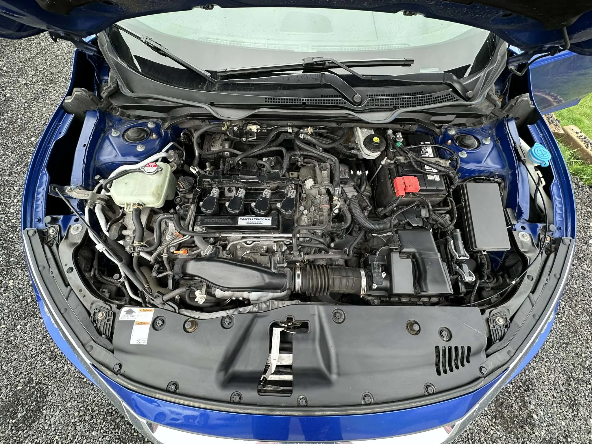 401c0ef0-b0dc-4983-81dc-588c0436abef.jfif