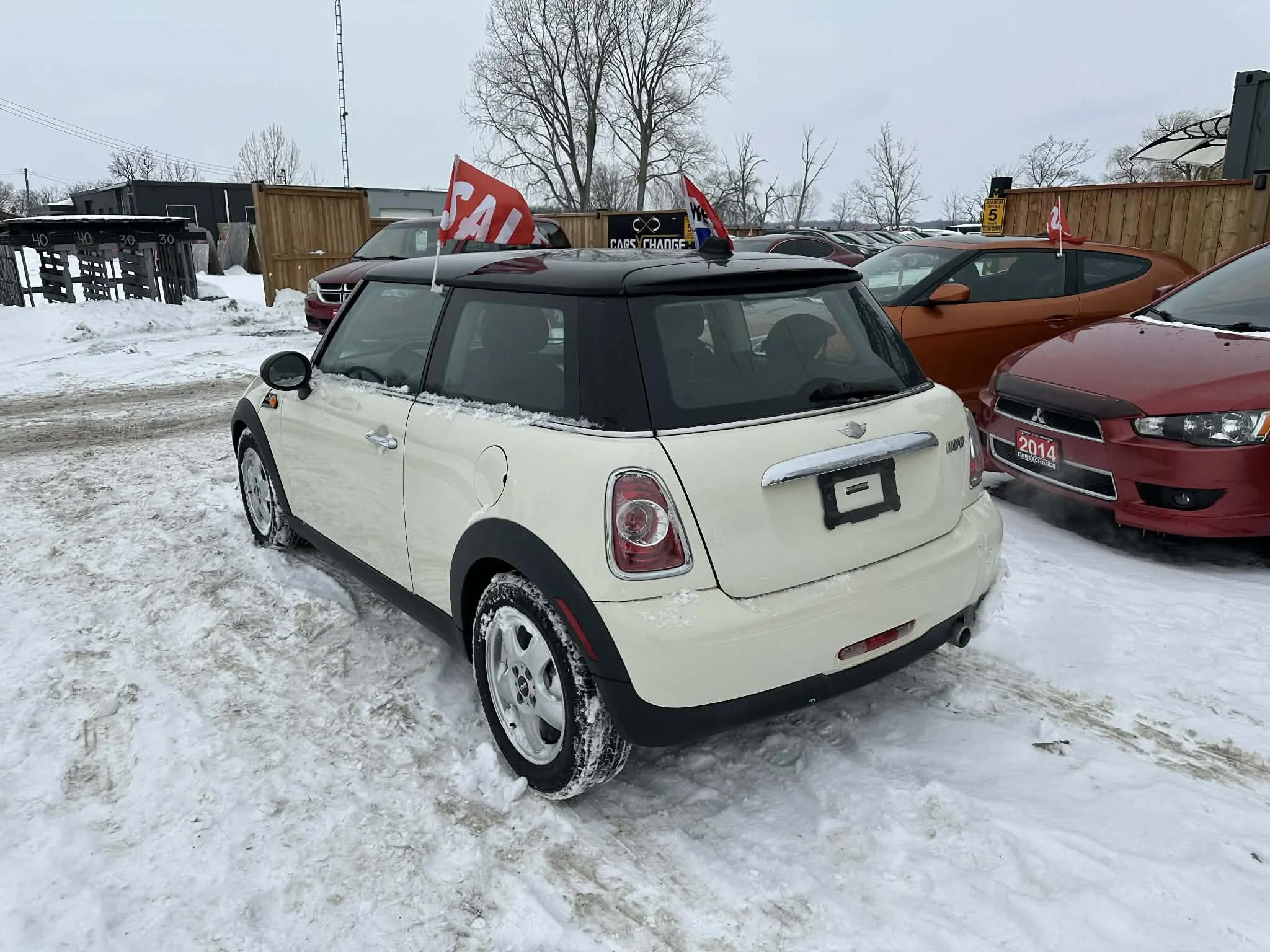 01404361-8b54-4f64-95ae-a30062414a74.jfif