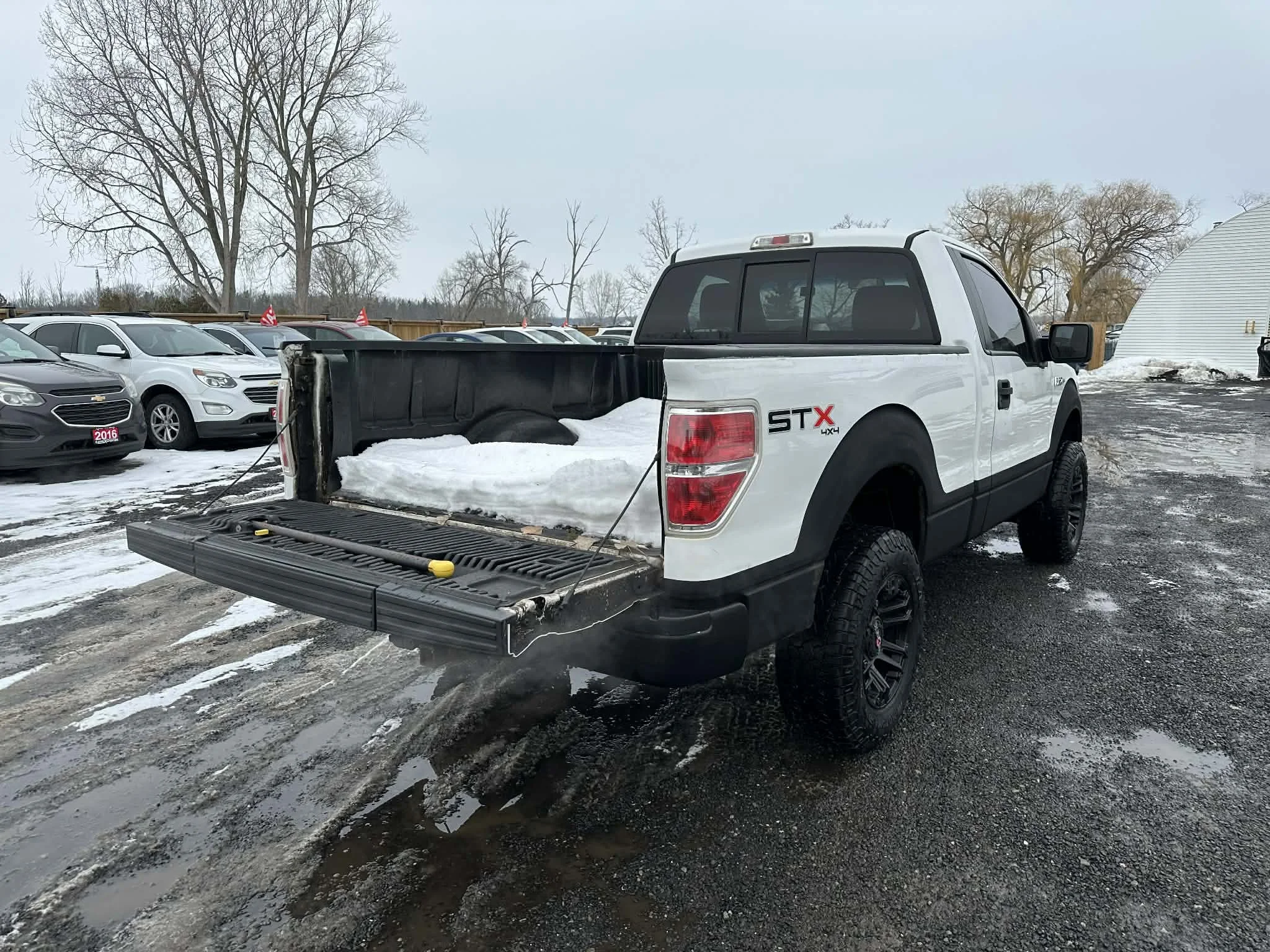 cb4aaa08-1f4a-45a8-9ac1-5bc1fc256cf8.jfif