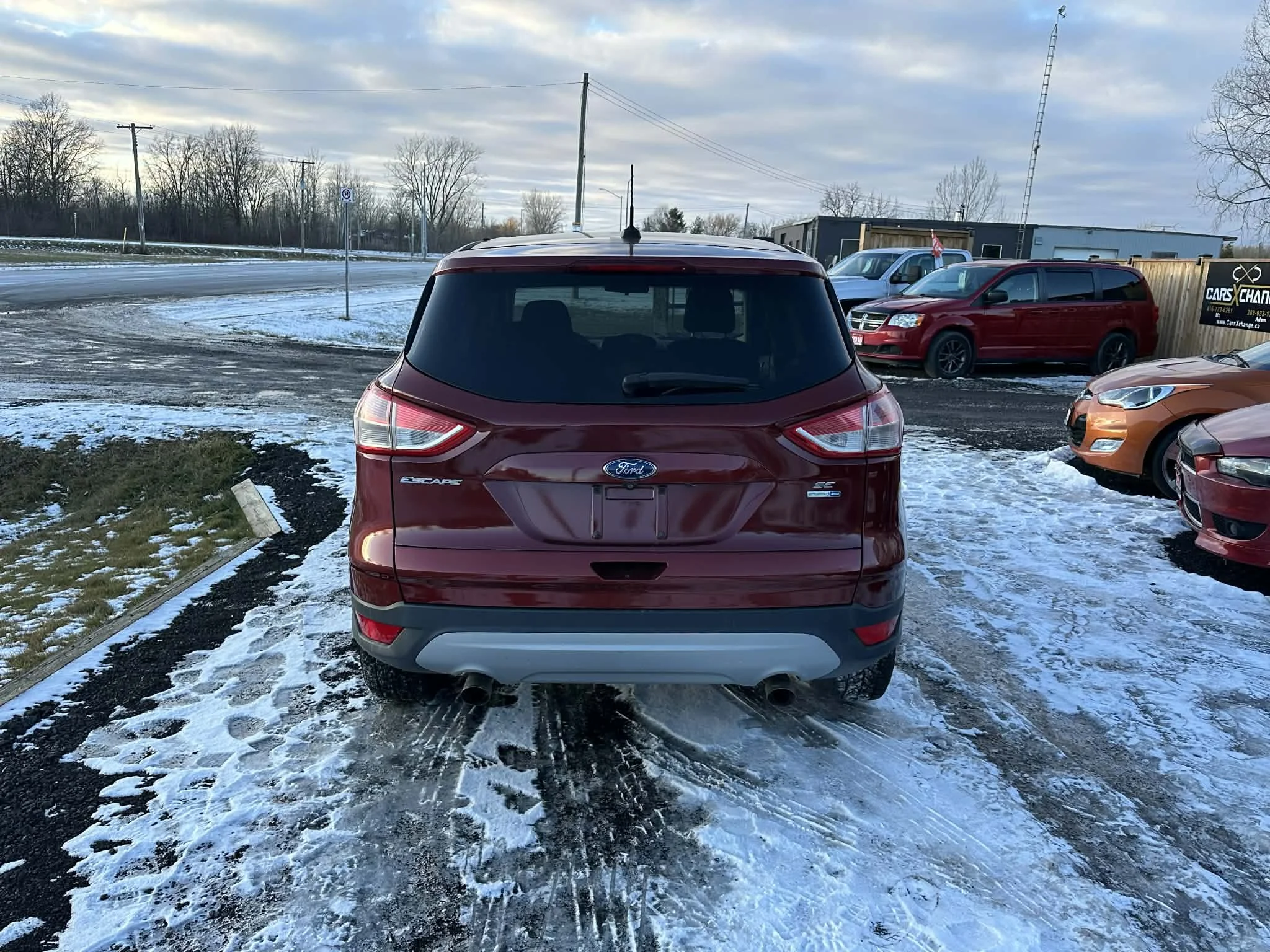 338dd1d5-bb83-40b4-96ed-4b437cebc1d1.jfif