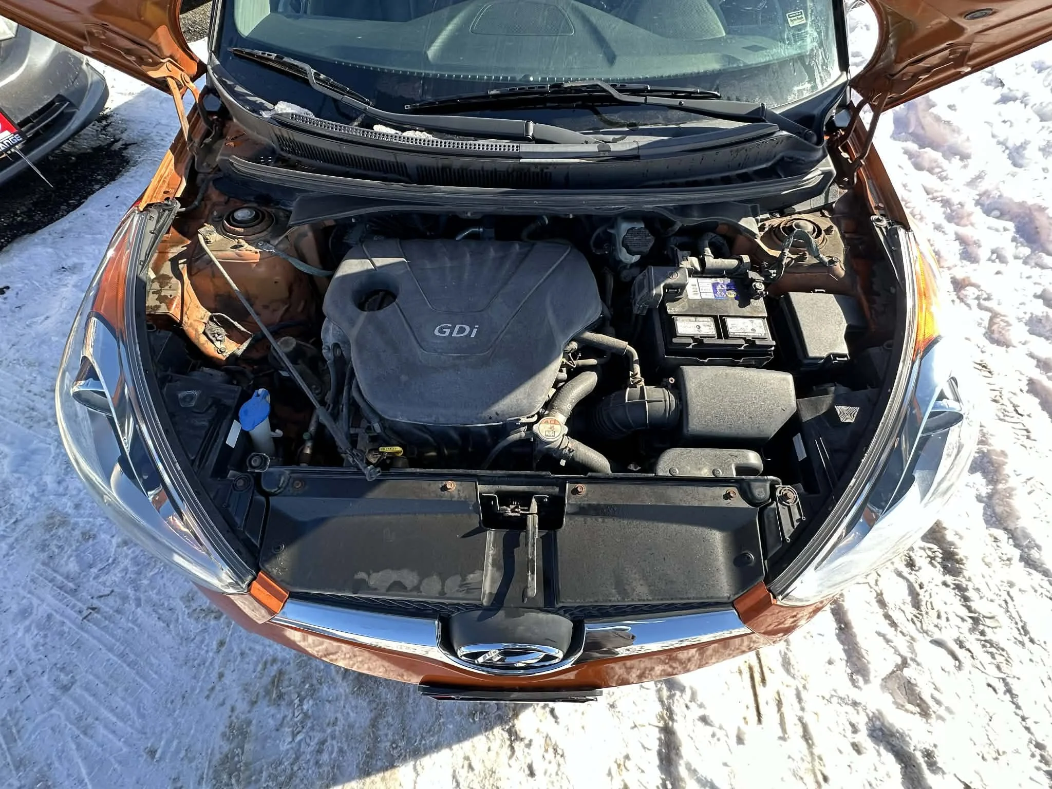 ba53440f-1f6c-4633-8866-cdace3b5be3f.jfif