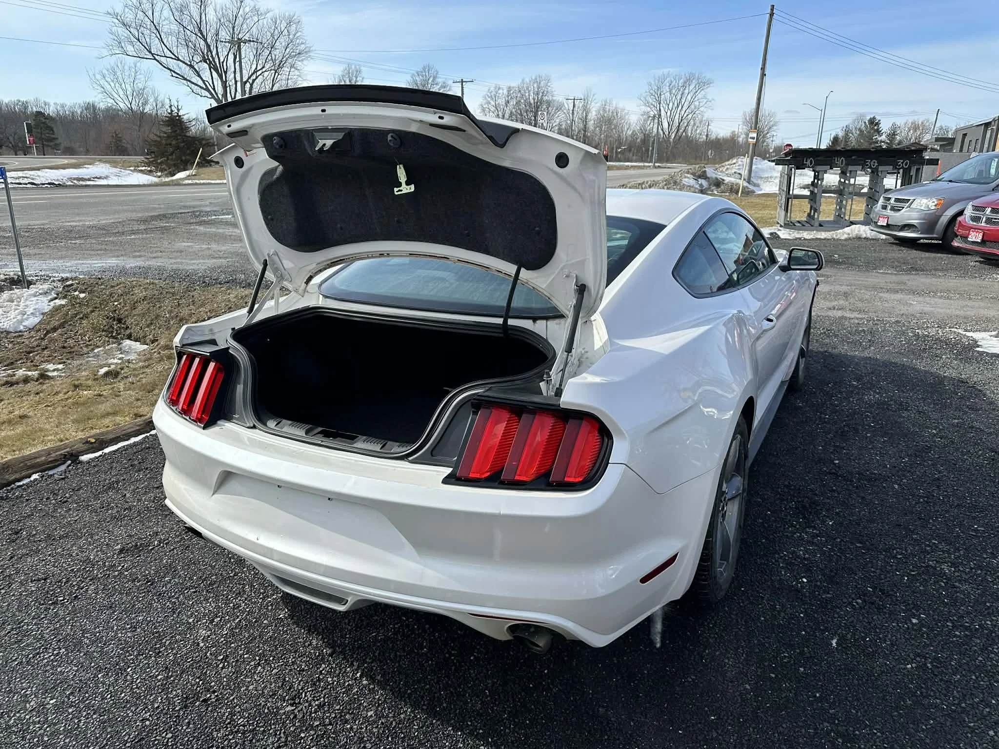 89036d48-b98a-44fe-82d2-f16787ababfb.jfif