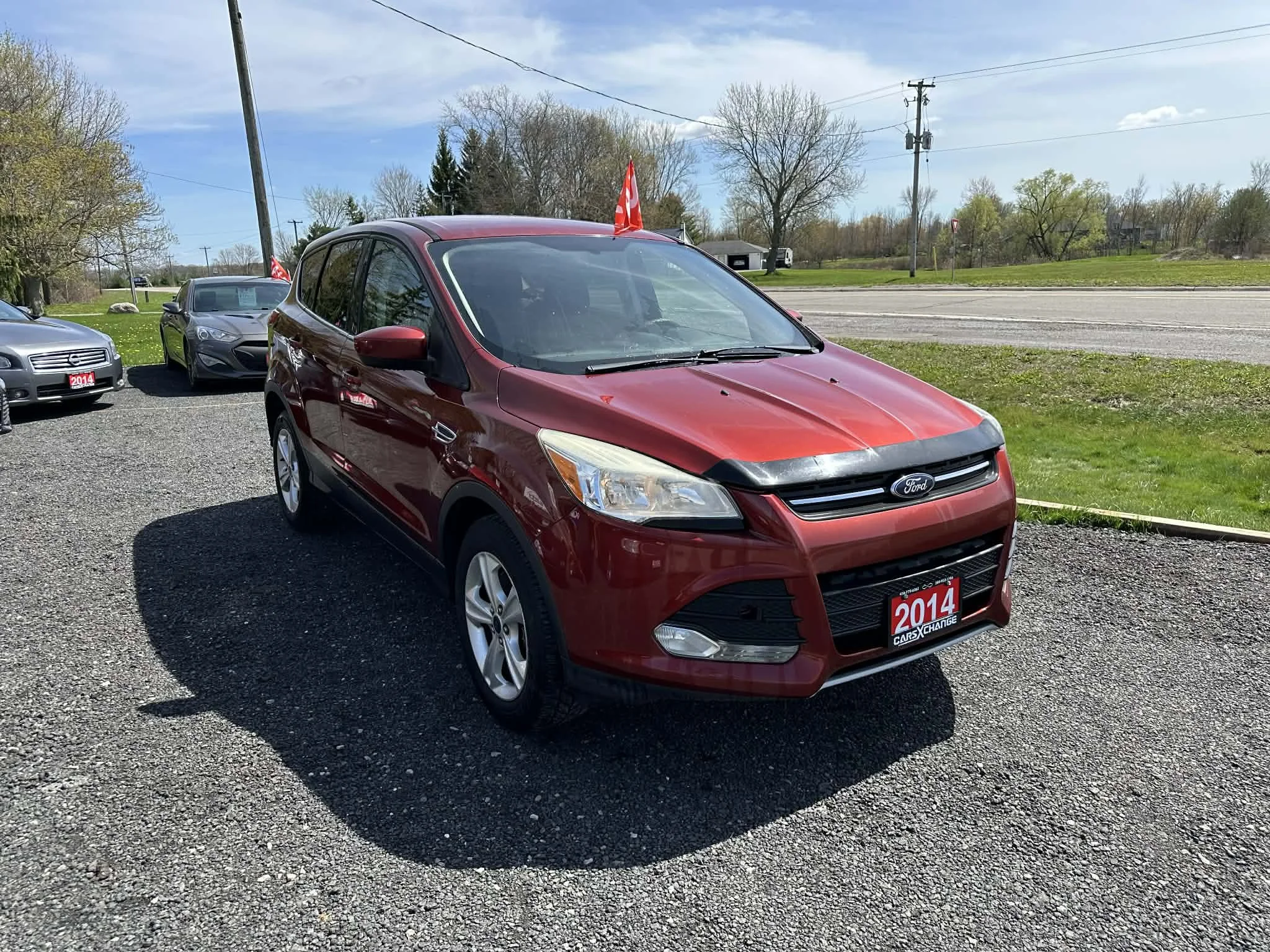 add44728-b6d0-48a6-8dcb-f3dd515142a8.jfif