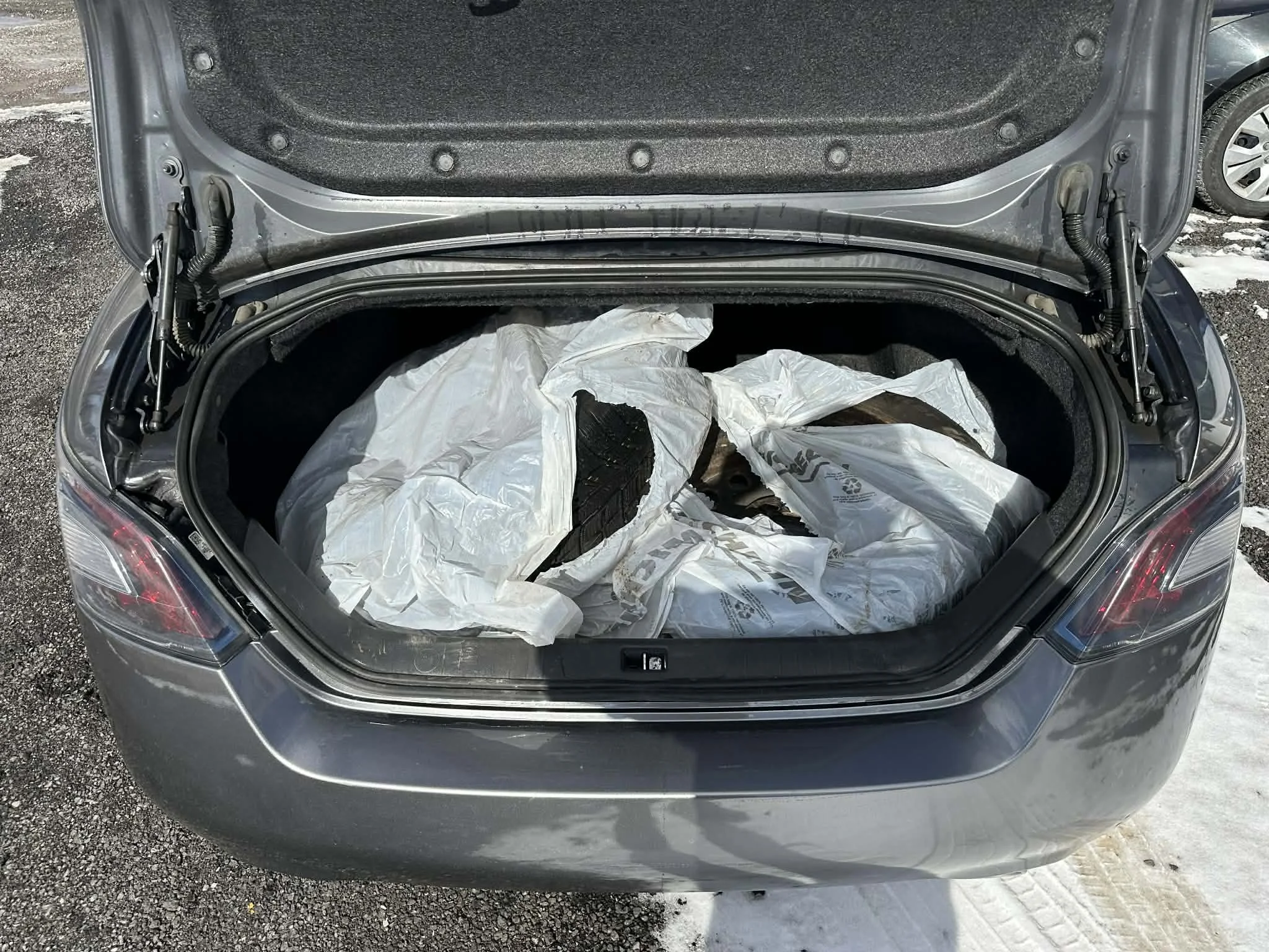 4d8d0bb9-be3d-455e-bccd-de428de92999.jfif