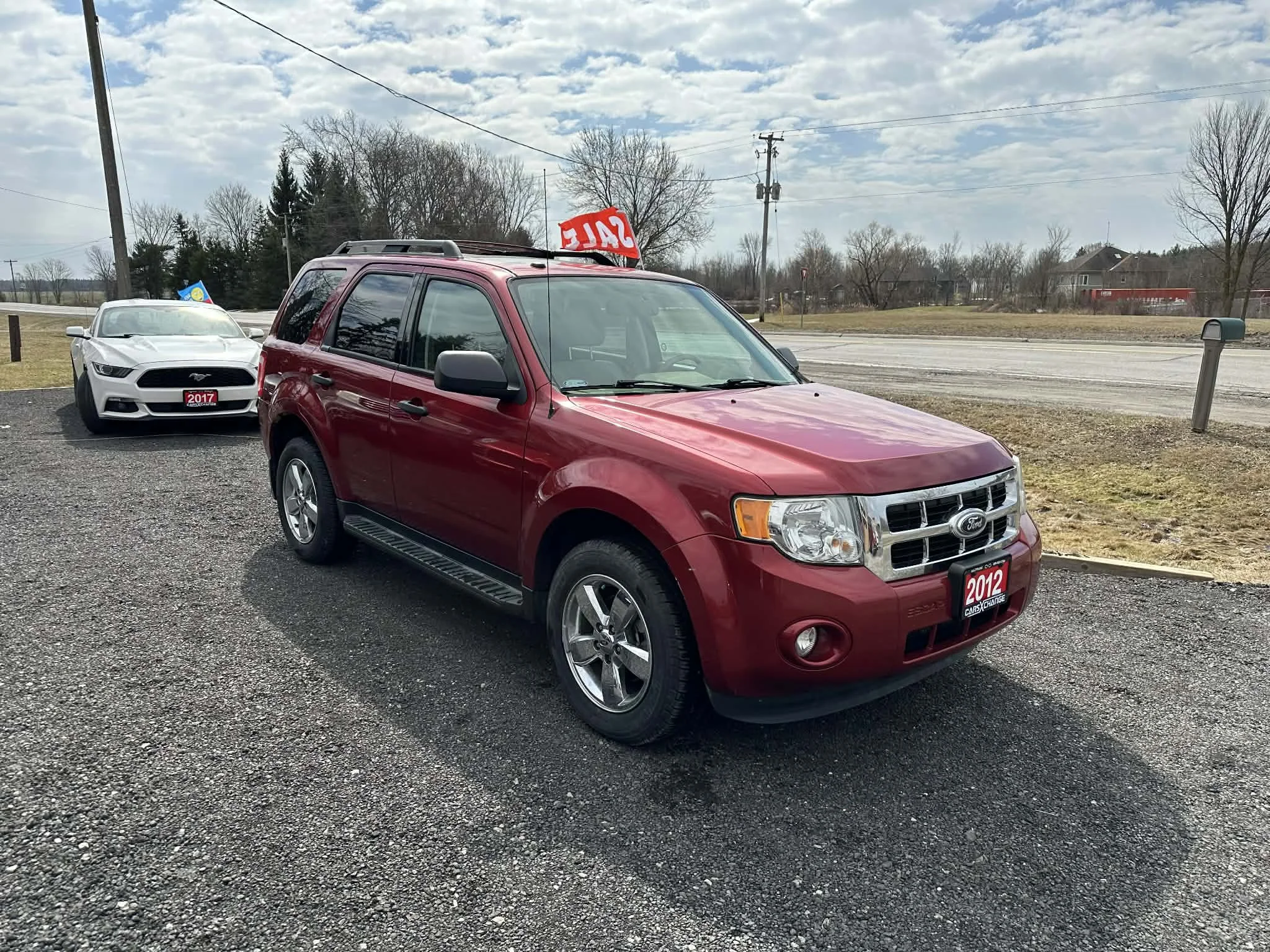 ecf870be-2dca-46a1-a74f-181a1bb3ed19.jfif