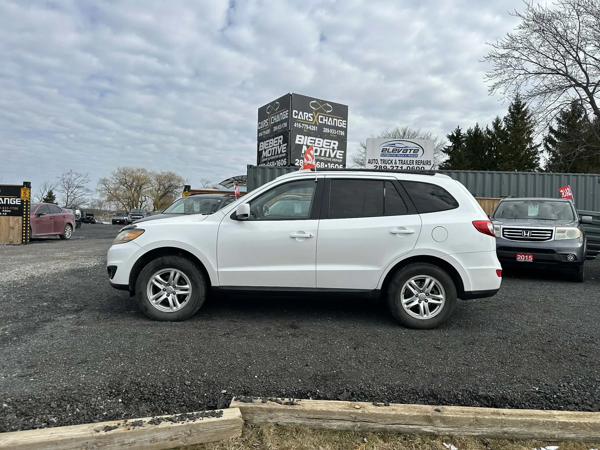 54e0e266-78be-4942-972c-a706593e695b.jfif