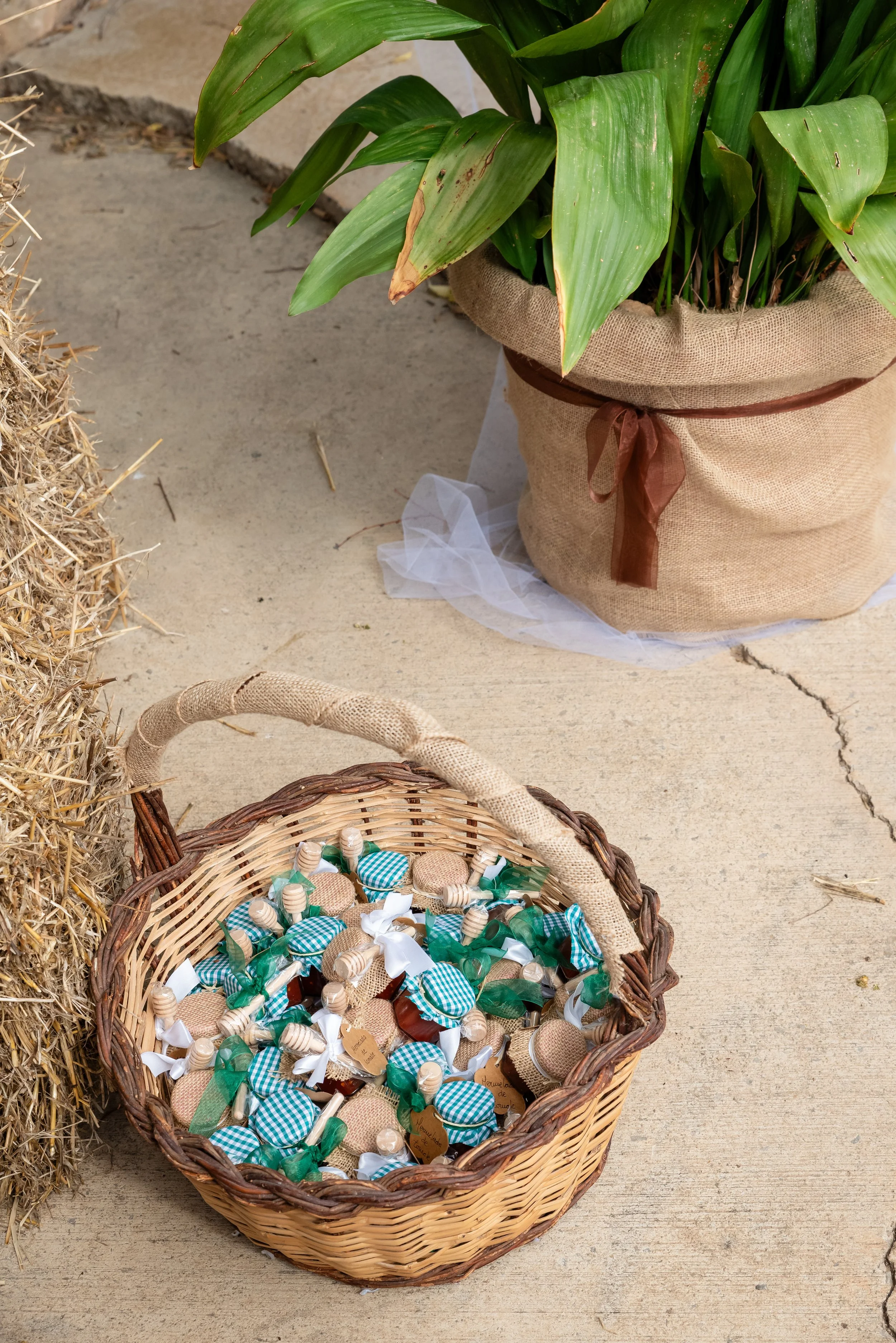Canasta con frascos decorativos pequeños y tela, junto a una planta en maceta envuelta en saco de yute.