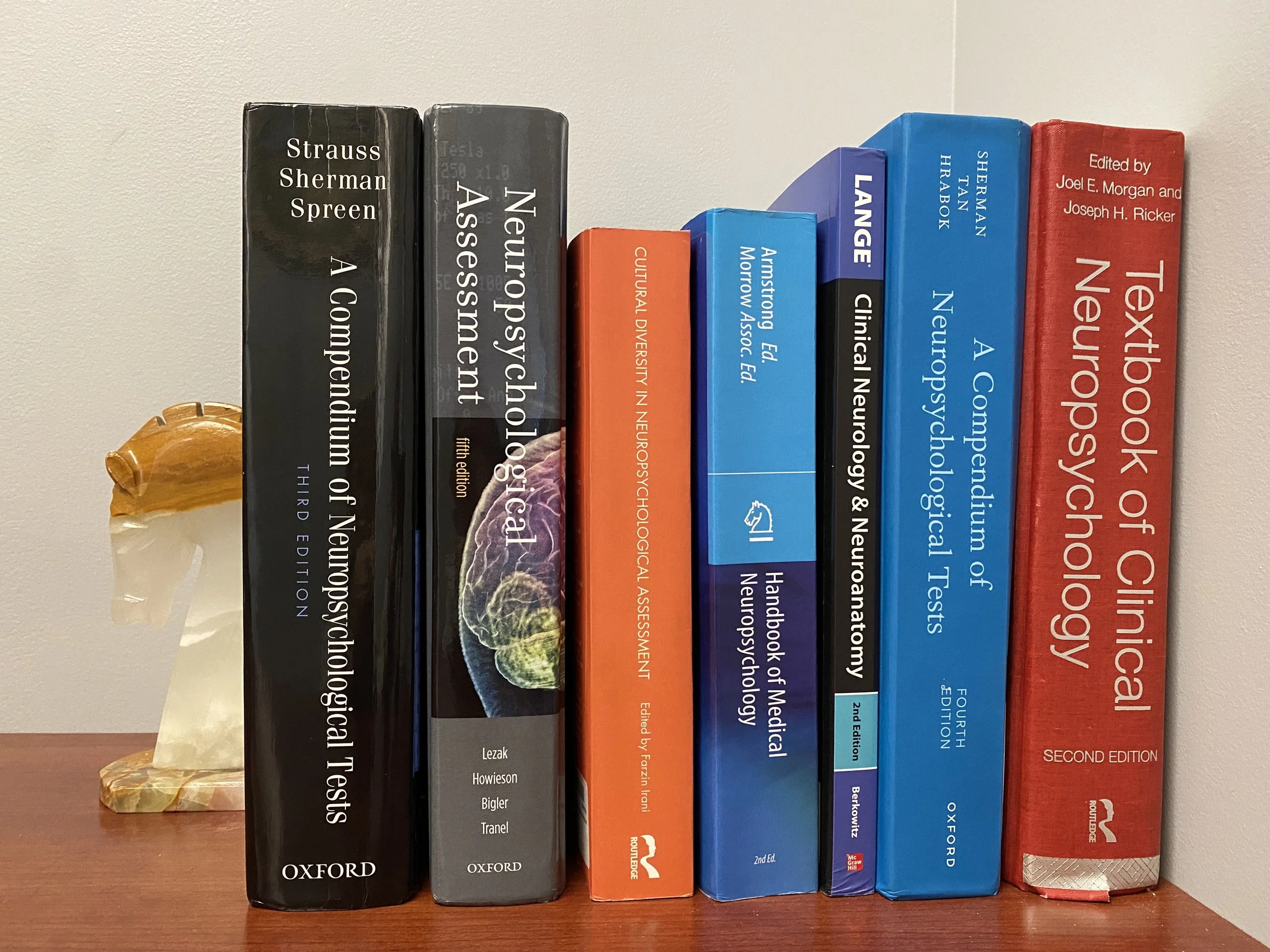 A row of medical textbooks on a wooden shelf, including topics like neuroscience, neuropsychology, and clinical neurology, with varying cover colors such as black, gray, orange, blue, and red.