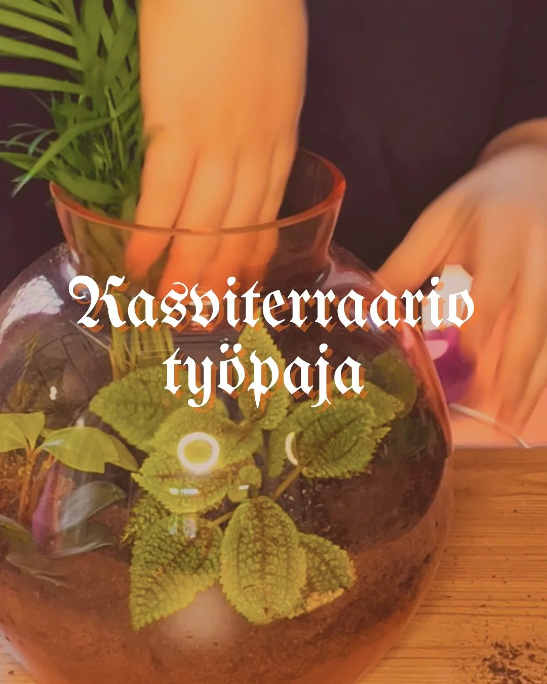 Studio Sula goes Tuuva! Huhtikuussa vietet&auml;&auml;n rentoa sunnuntai-iltaa Tuuvalla kasviterraarioita rakennellen ja omaa lempijuomaa nautiskellen. Hyv&auml;&auml; musaa &amp; seuraa unohtamatta 🪩🪴

P&auml;&auml;set valitsemaan second hand -ast