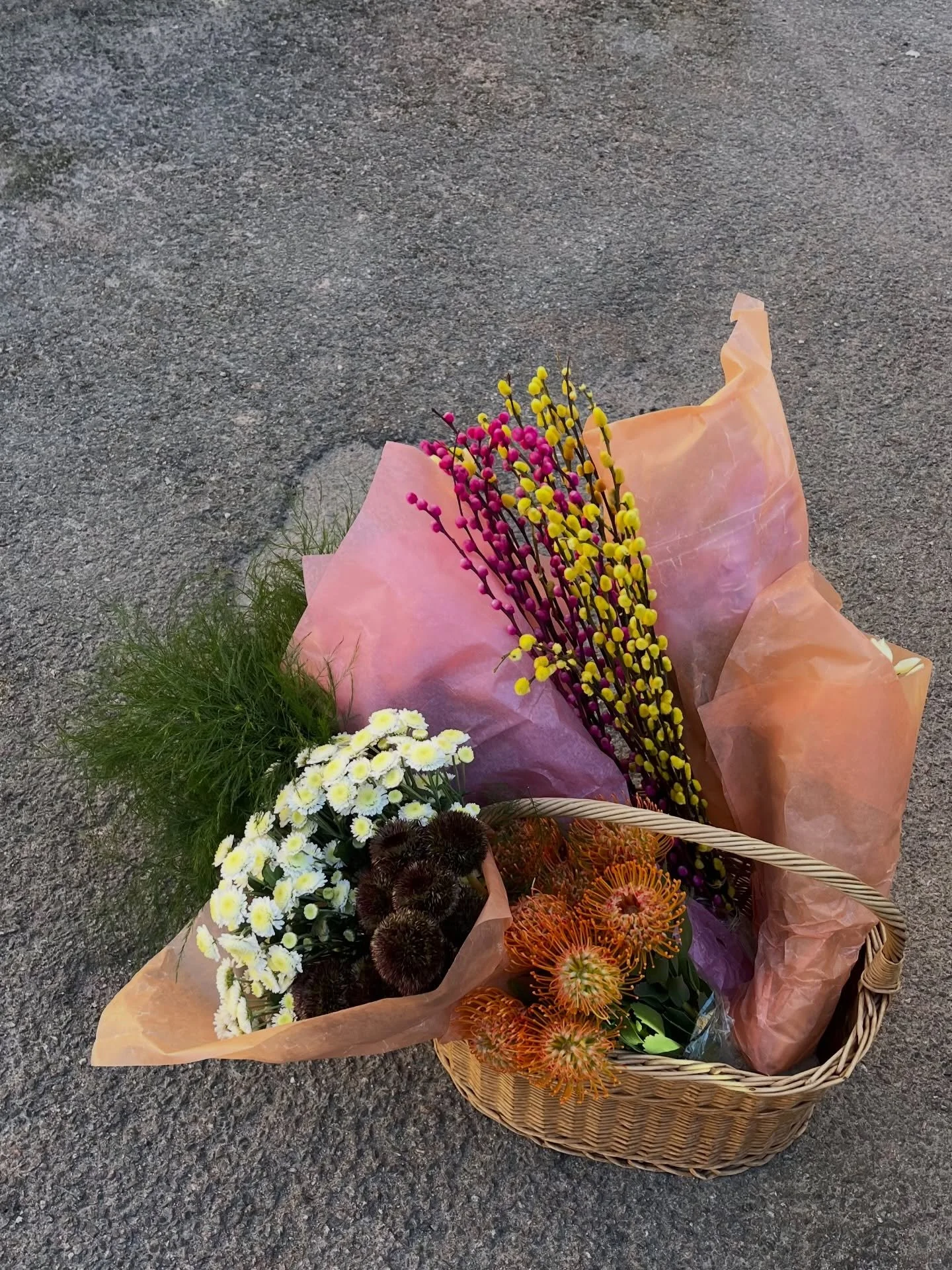 P&auml;&auml;si&auml;isnoidan herkkukori eilen ✨ T&auml;n&auml;&auml;n studiolla puuhailemassa klo 17 saakka! Esill&auml; mm. er&auml; viherkasveja, narsissinippuja ja pinkkej&auml; pajunkissoja 🐱