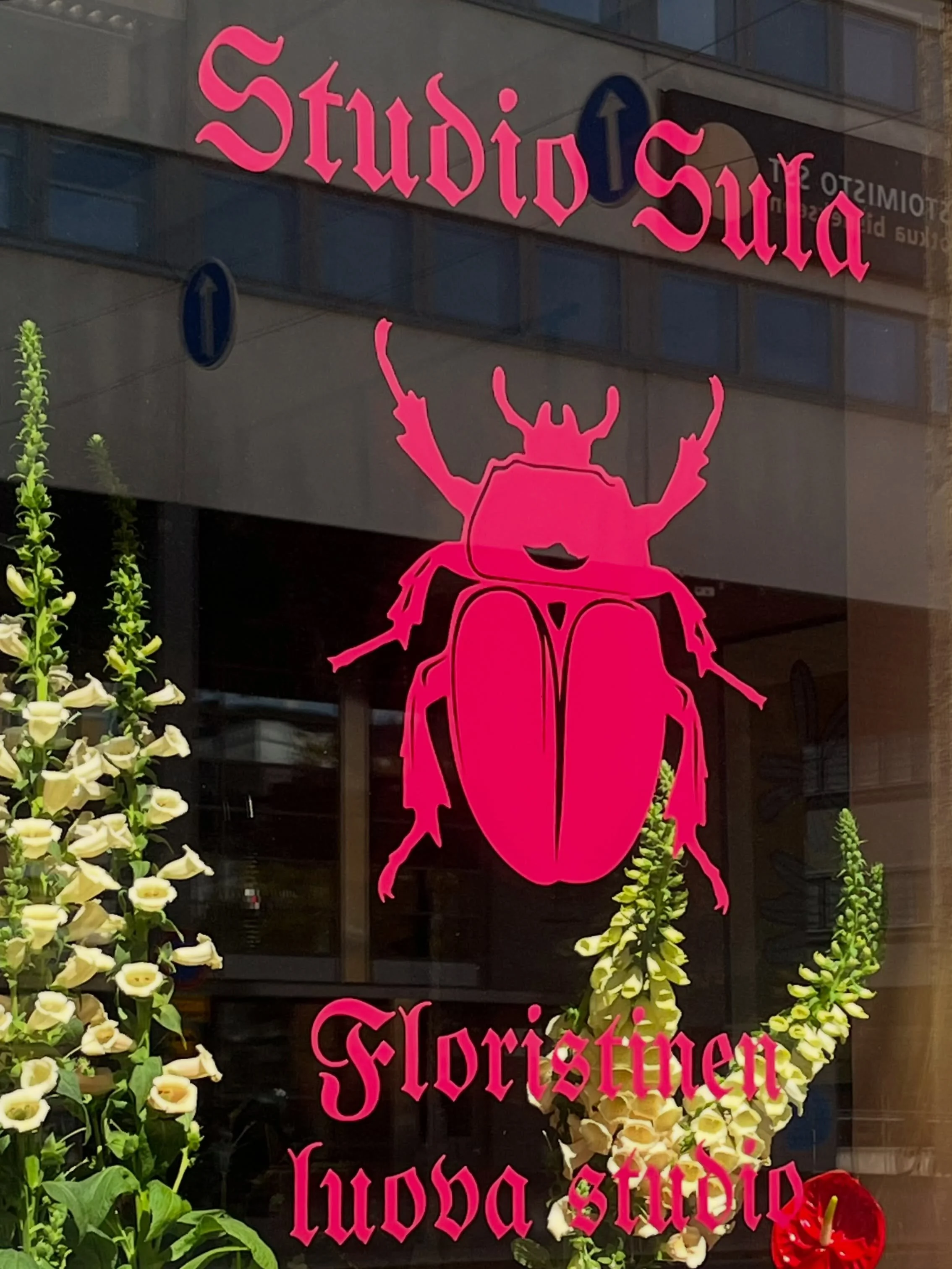 Ootko jo bongannut studion uudet ikkunateippaukset? 💖🪲

T&auml;&auml; auringon mukana eri seinill&auml; kiipiv&auml; koppis ilahduttaa joka p&auml;iv&auml;. Uudet tuulet kohti kes&auml;&auml;, niist&auml; lis&auml;&auml; piakkoin 🌬️